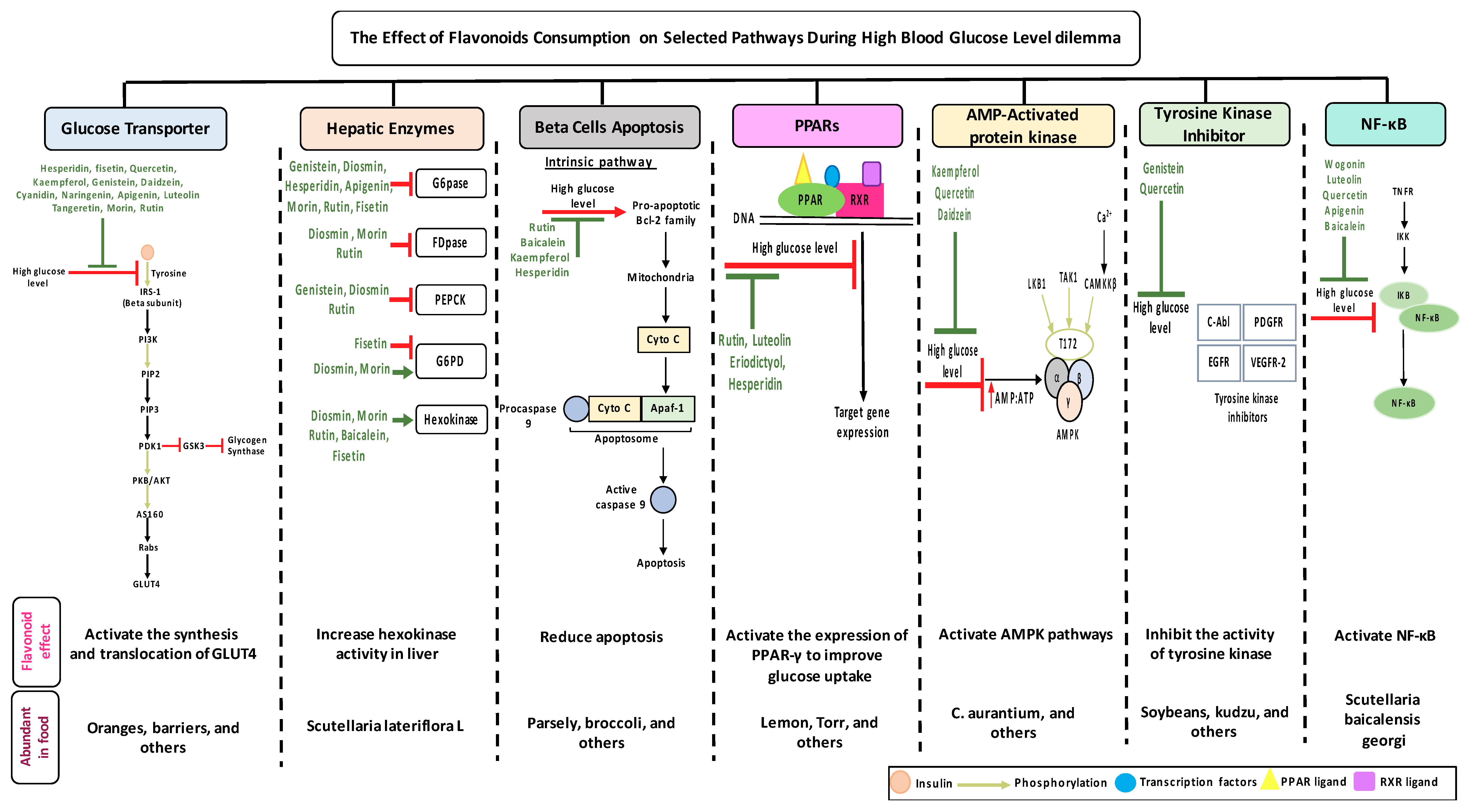 Biomolecules 09 00430 g003 Biomolecules 09 00430 g003