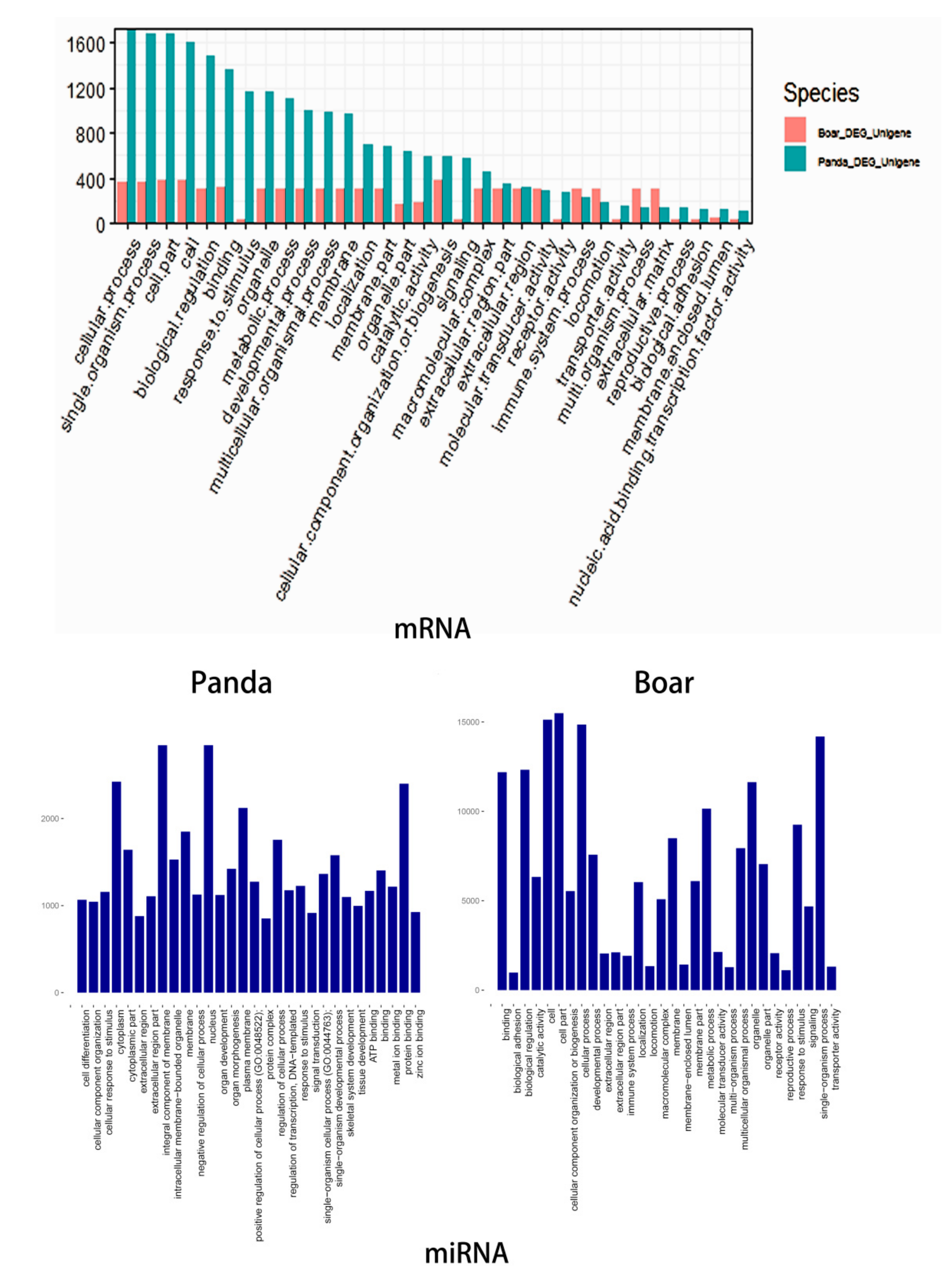 Biomolecules 09 00432 g003