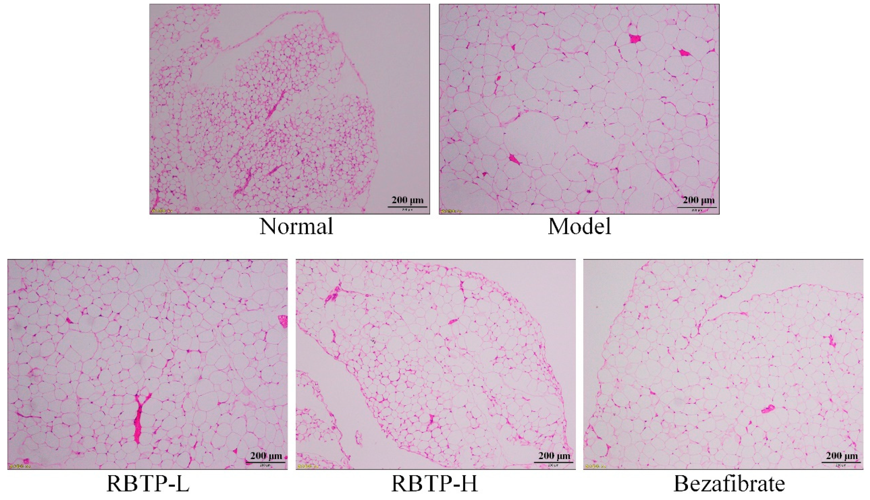 Biomolecules 09 00435 g004