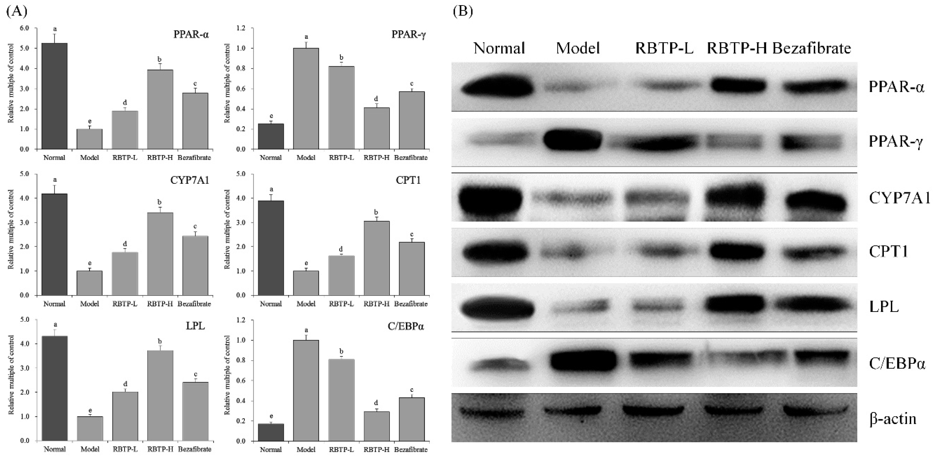 Biomolecules 09 00435 g006