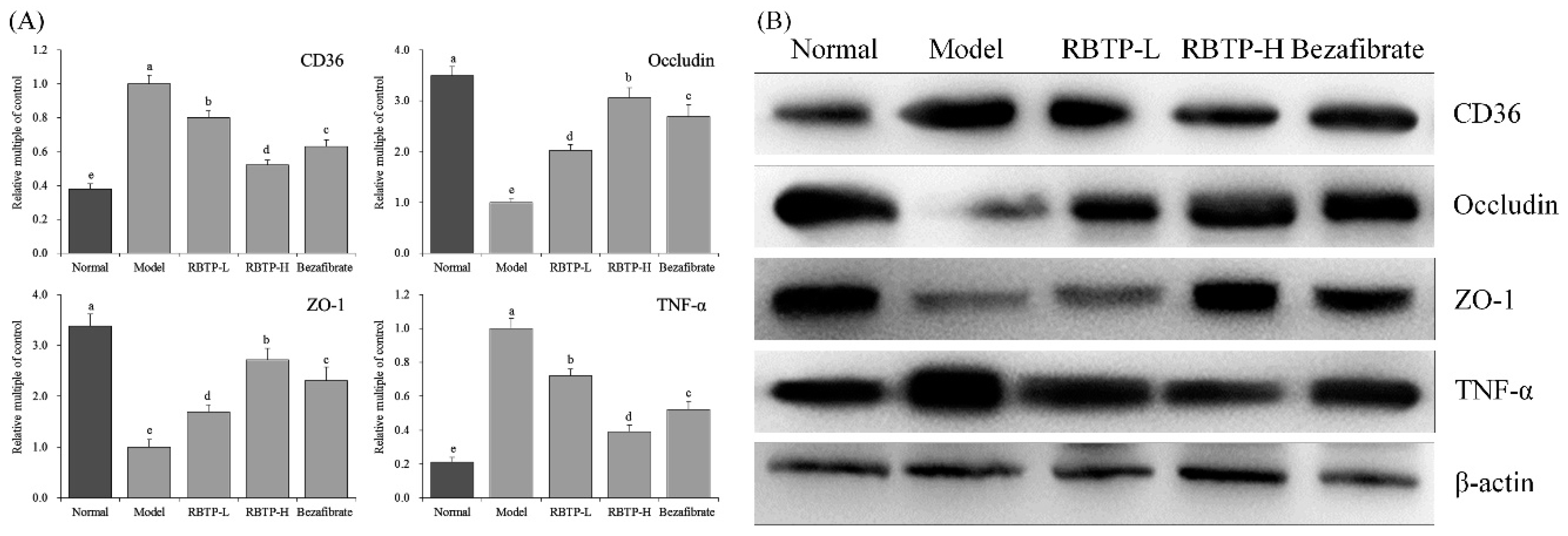 Biomolecules 09 00435 g007
