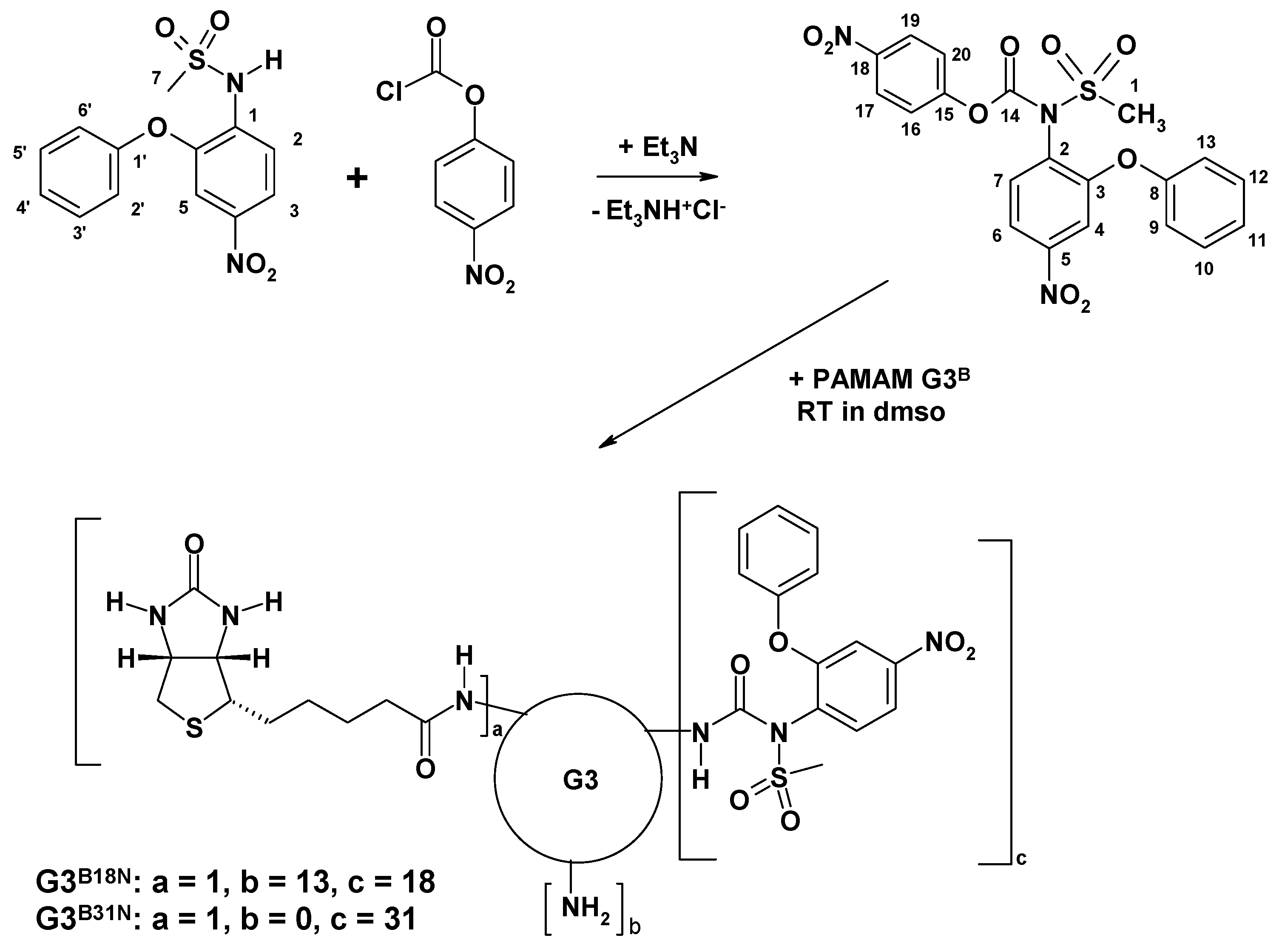 Biomolecules 09 00437 sch001 Biomolecules 09 00437 sch001
