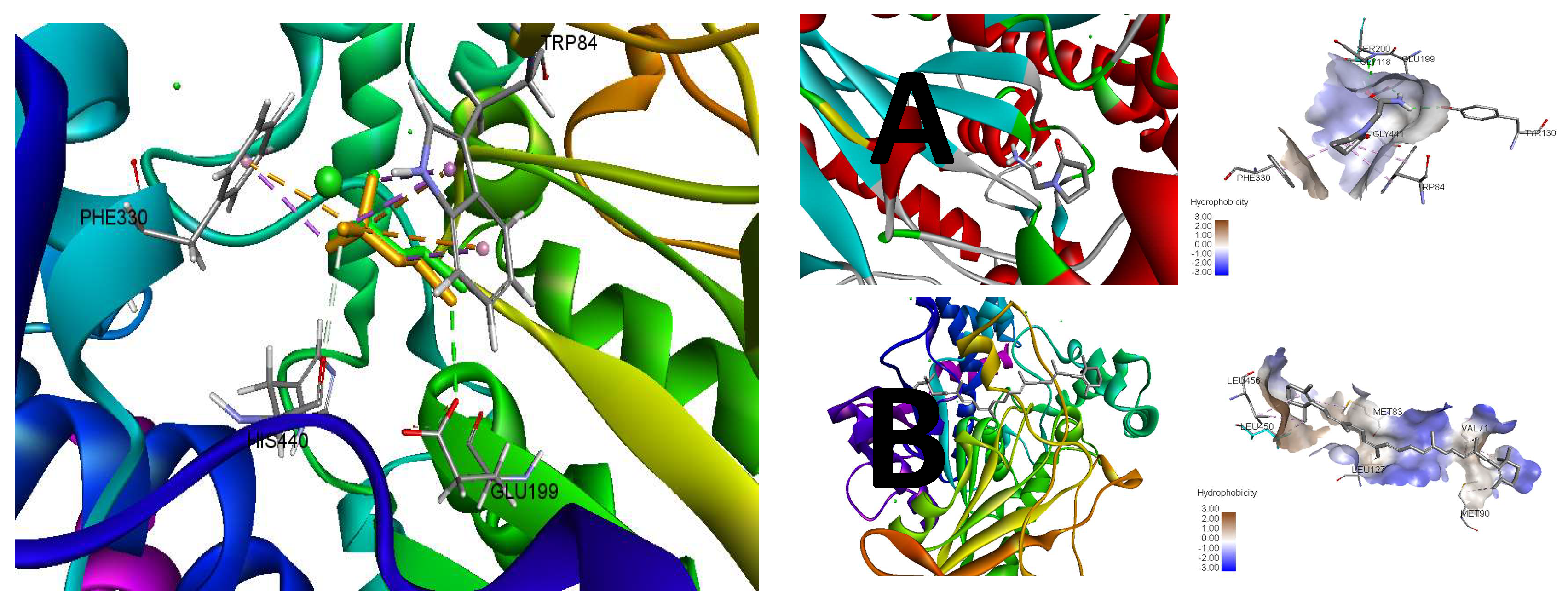 Biomolecules 09 00441 g005