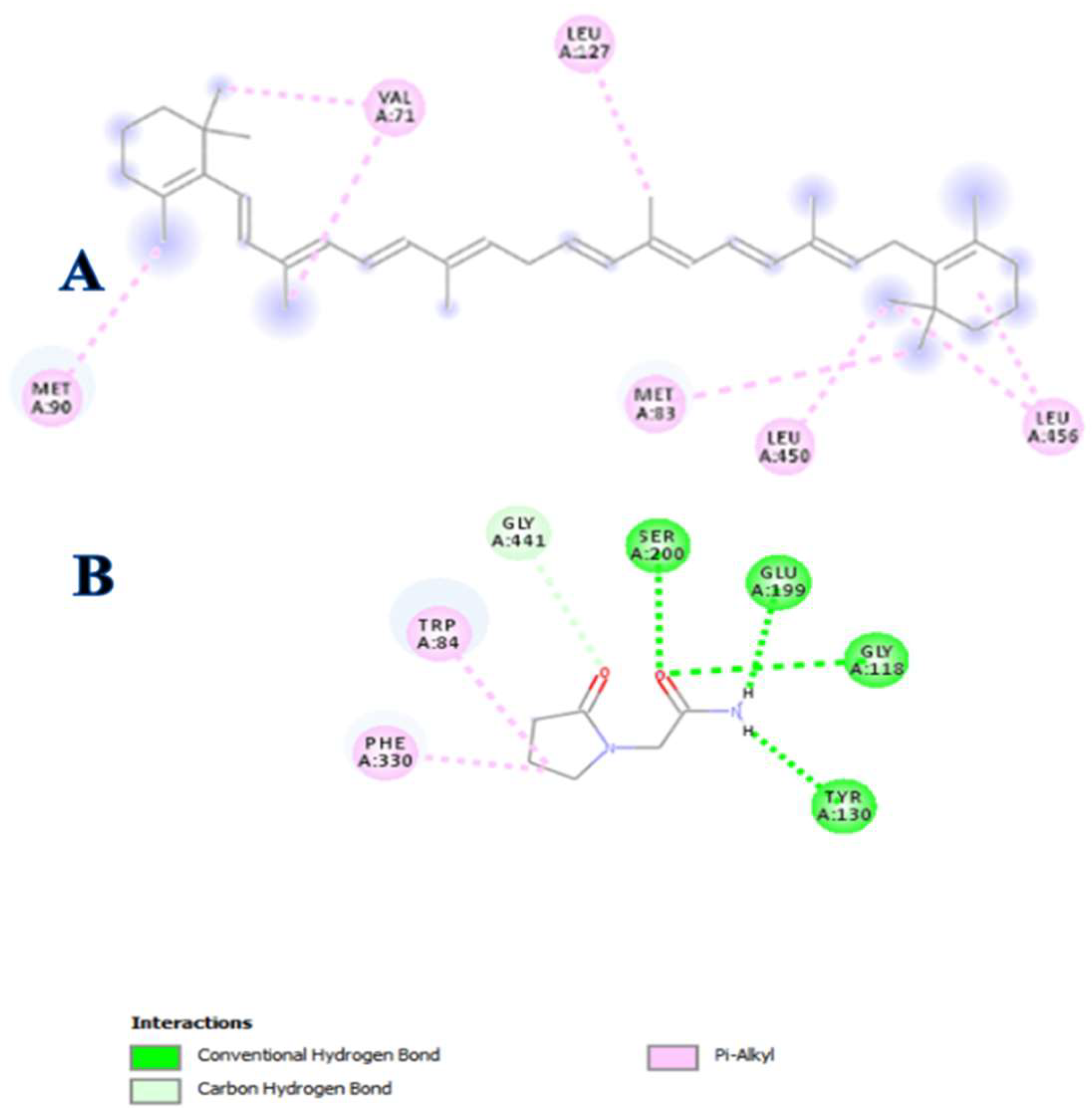 Biomolecules 09 00441 g006