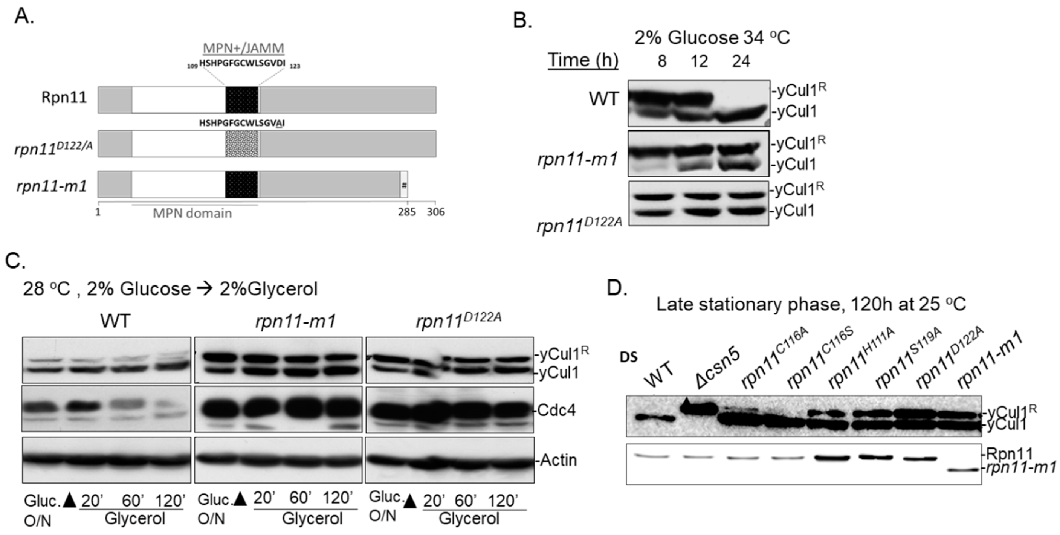 Biomolecules 09 00449 g001