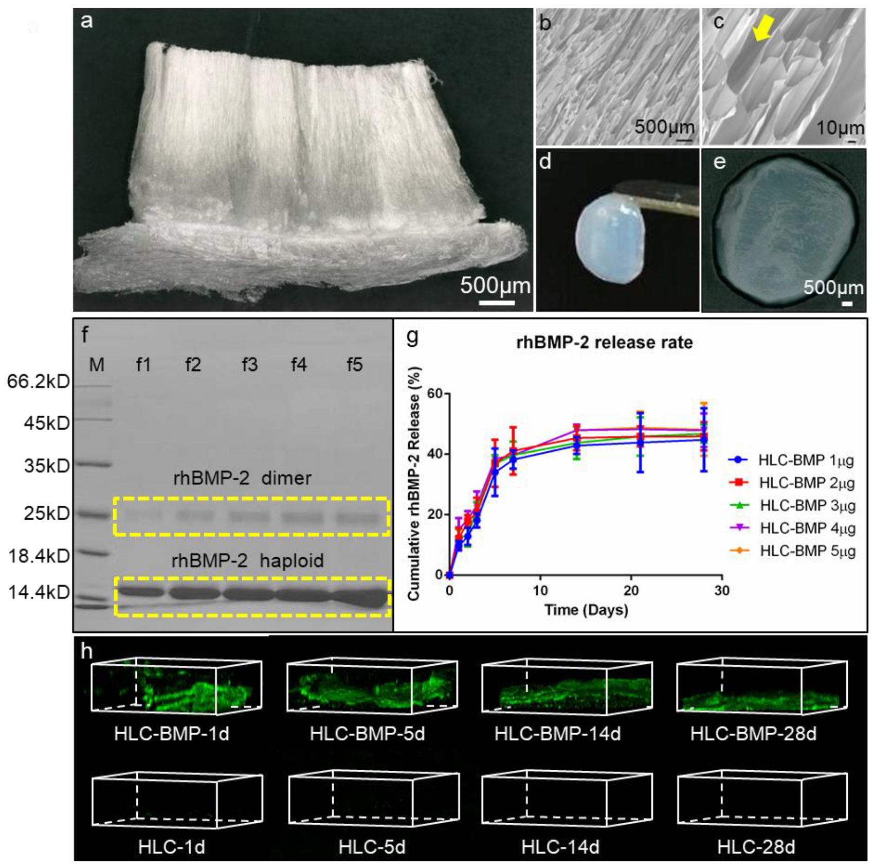 Biomolecules 09 00450 g002 Biomolecules 09 00450 g002