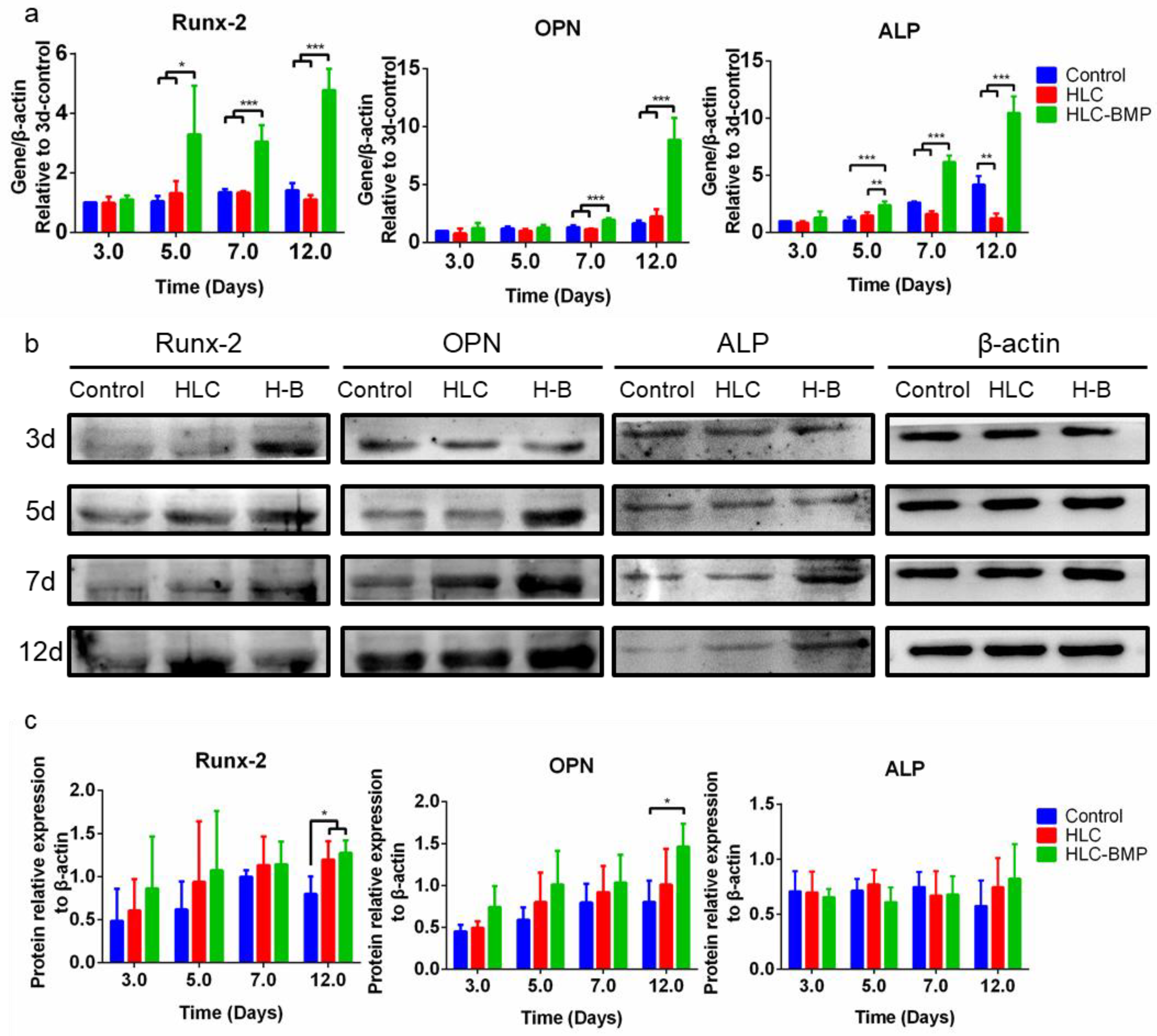 Biomolecules 09 00450 g004 Biomolecules 09 00450 g004