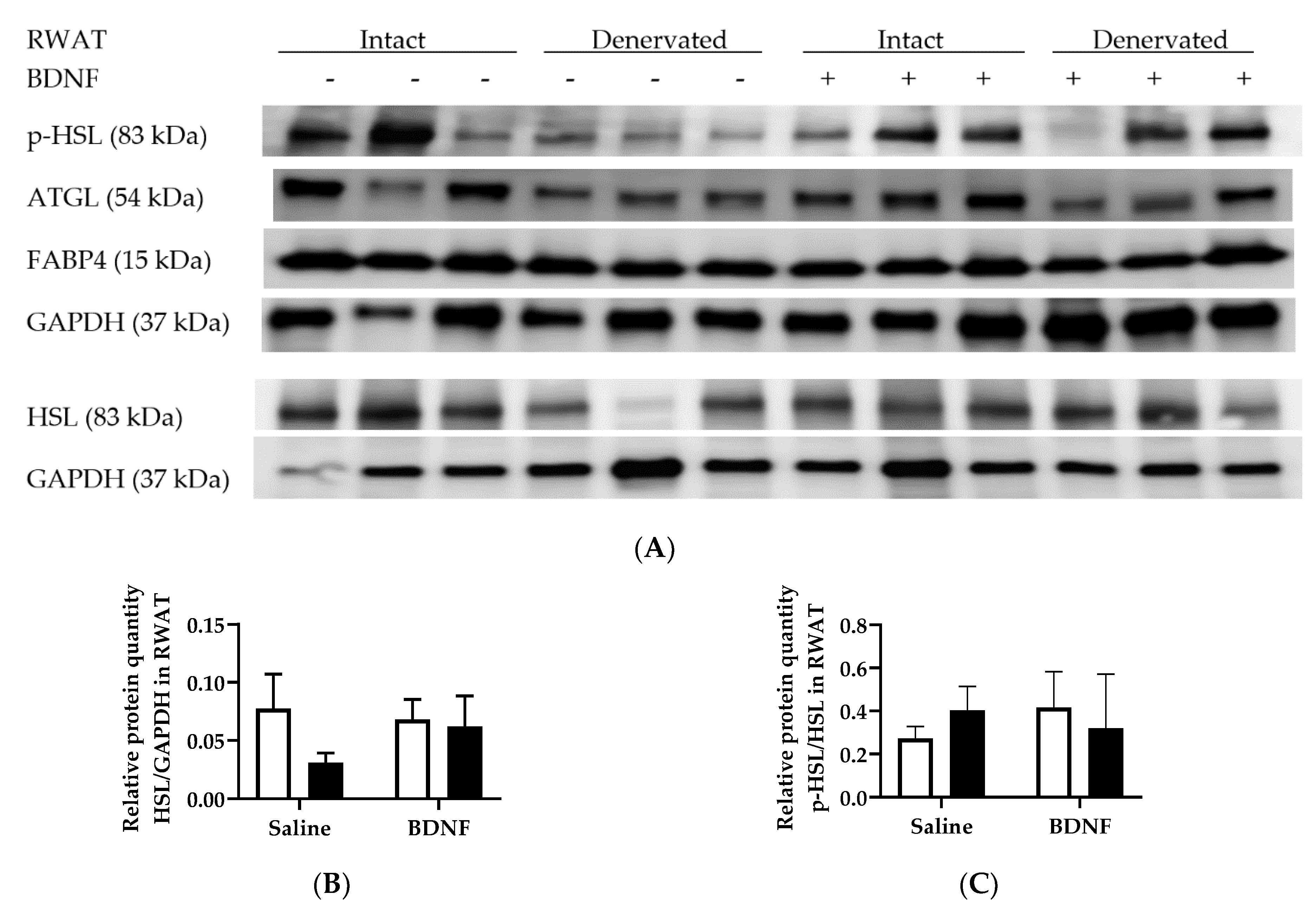Biomolecules 09 00452 g006a
