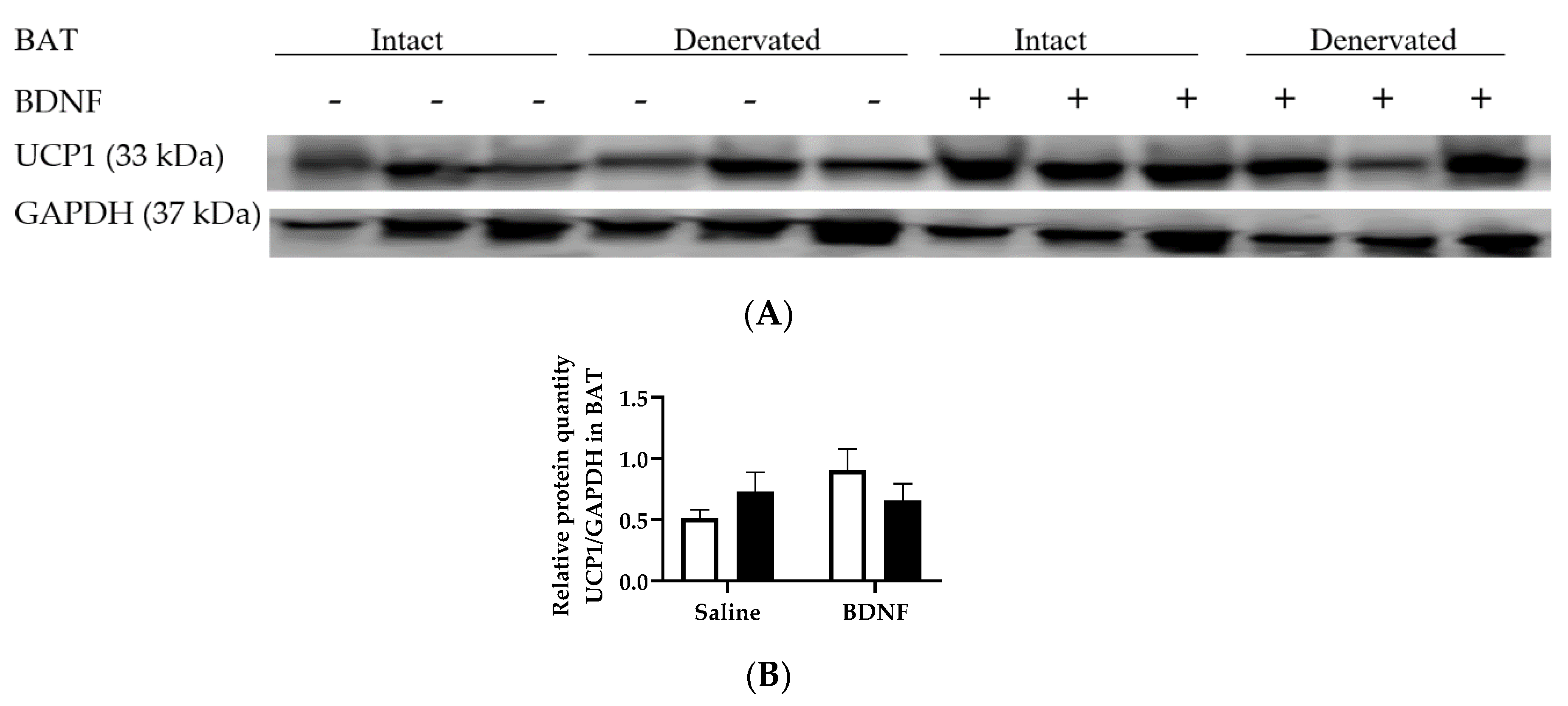 Biomolecules 09 00452 g007