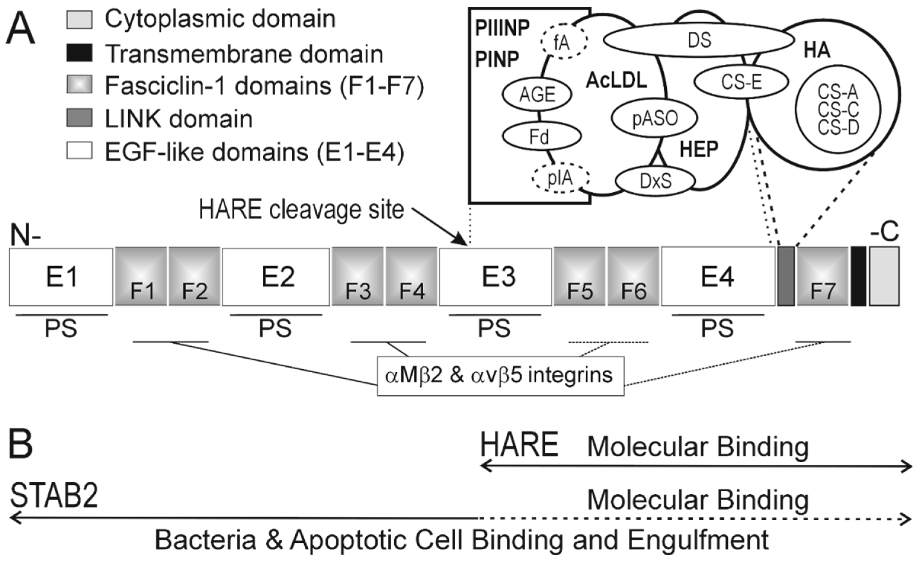 Biomolecules 09 00454 g001