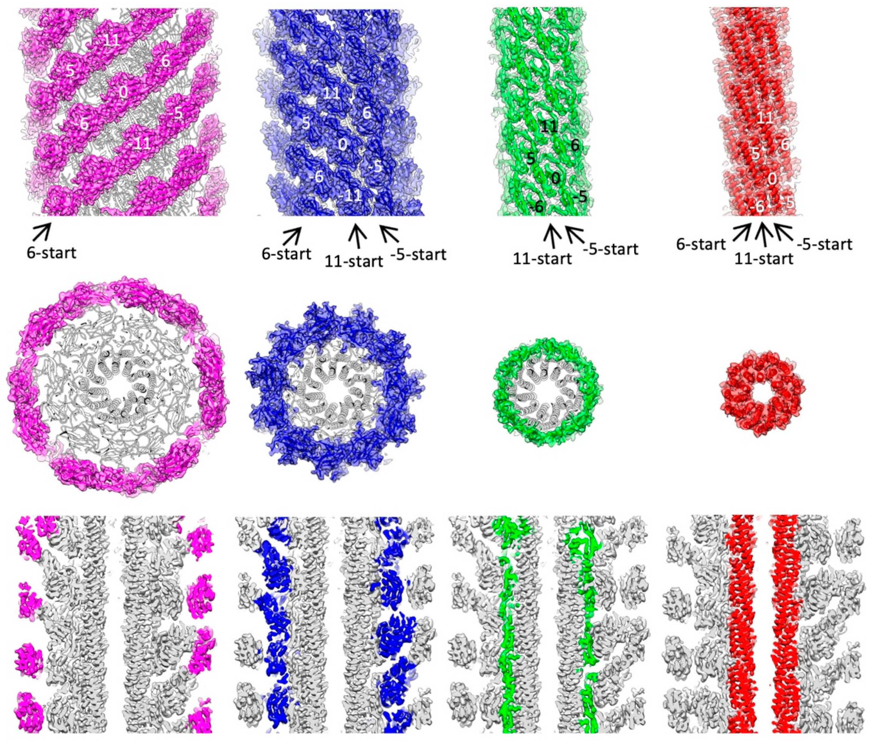 Biomolecules 09 00462 g001 Biomolecules 09 00462 g001