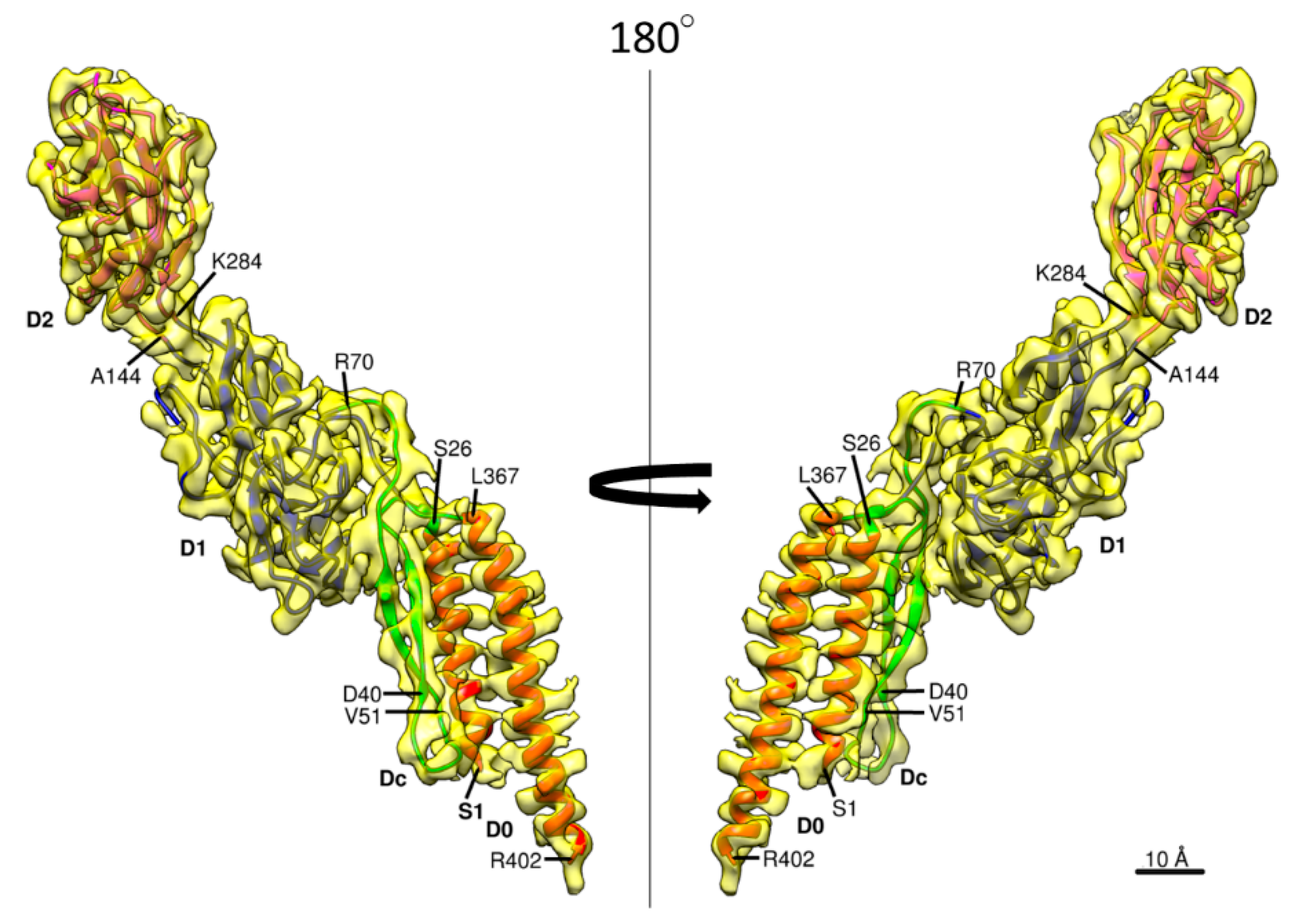 Biomolecules 09 00462 g002 Biomolecules 09 00462 g002