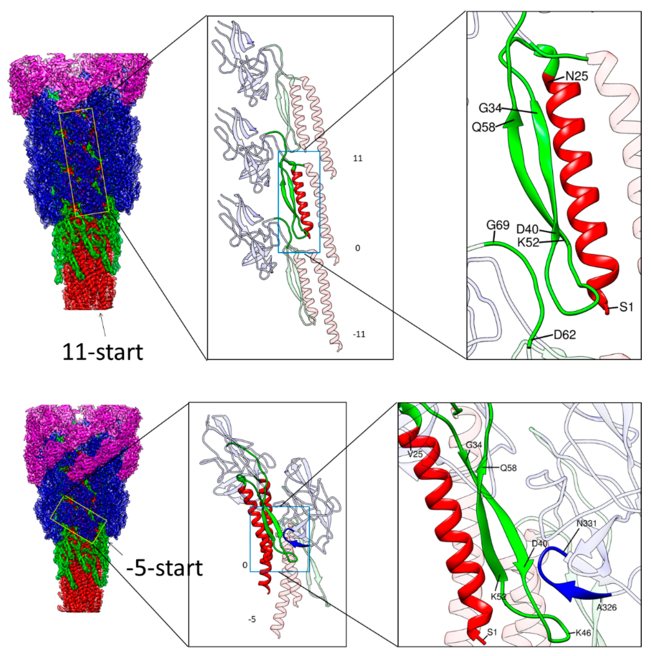 Biomolecules 09 00462 g003 Biomolecules 09 00462 g003