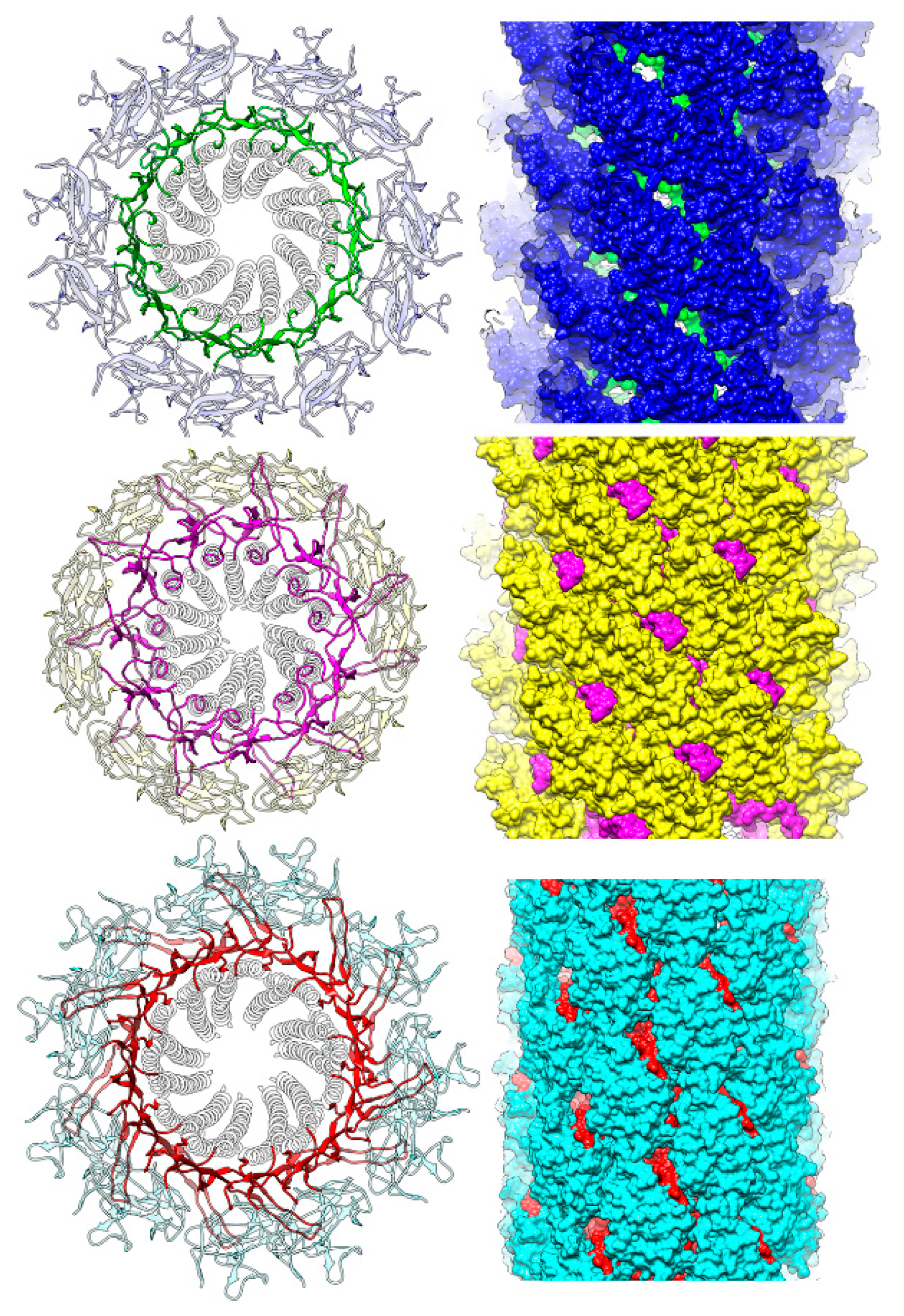 Biomolecules 09 00462 g007 Biomolecules 09 00462 g007