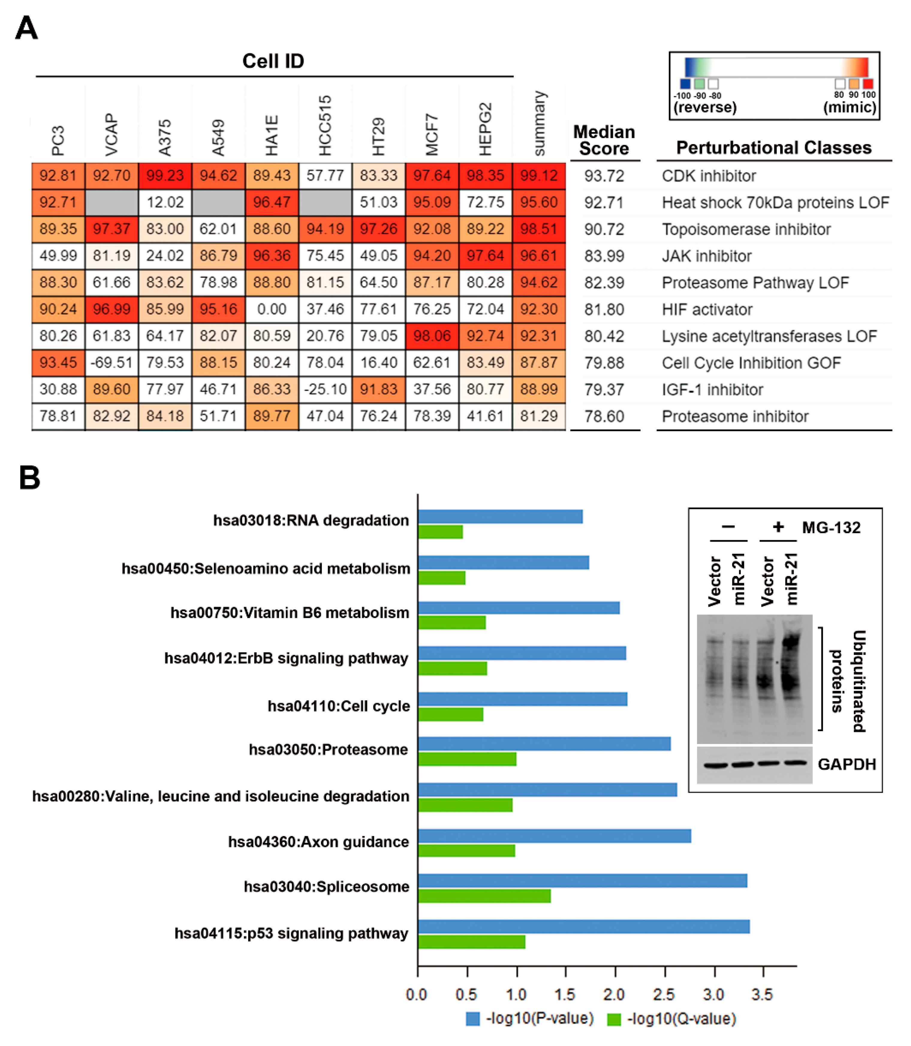 Biomolecules 09 00467 g004 Biomolecules 09 00467 g004