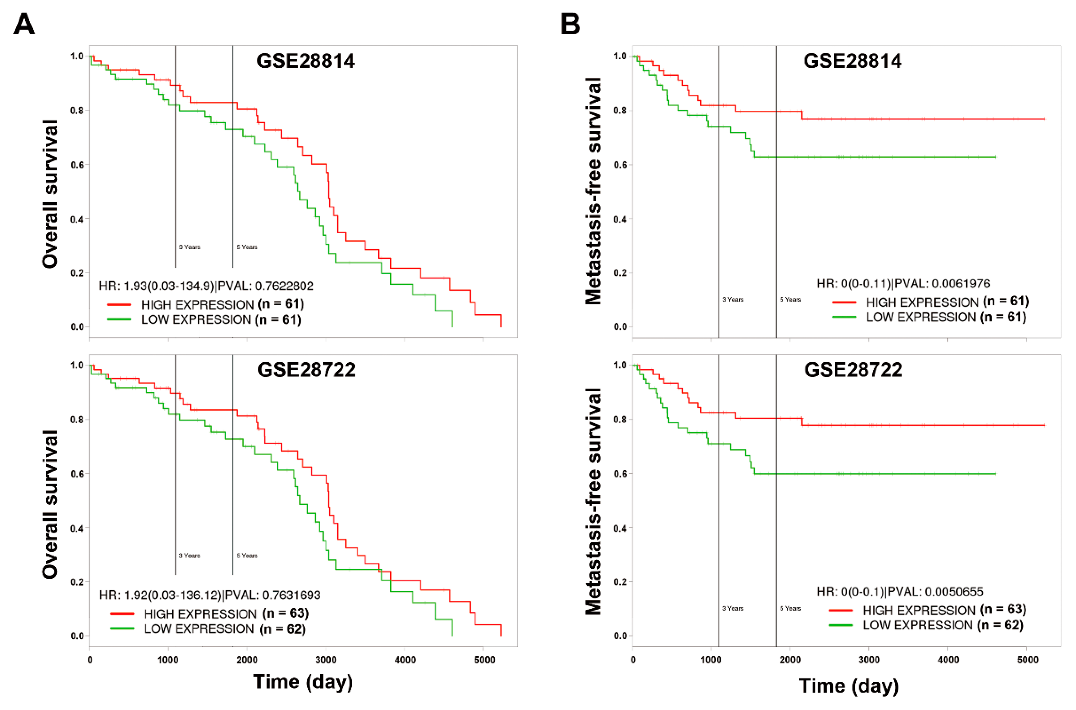 Biomolecules 09 00467 g006 Biomolecules 09 00467 g006