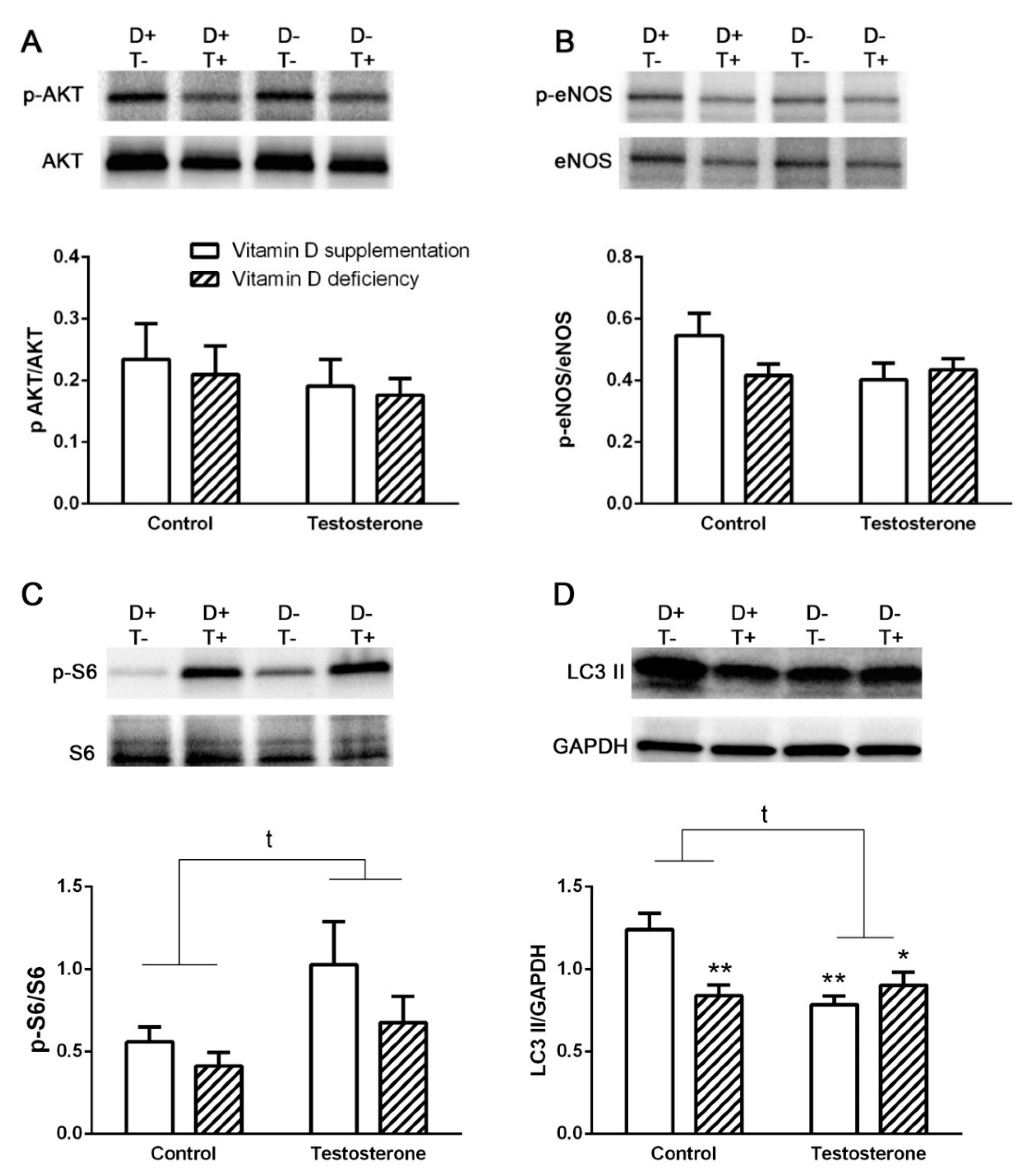 Biomolecules 09 00471 g002