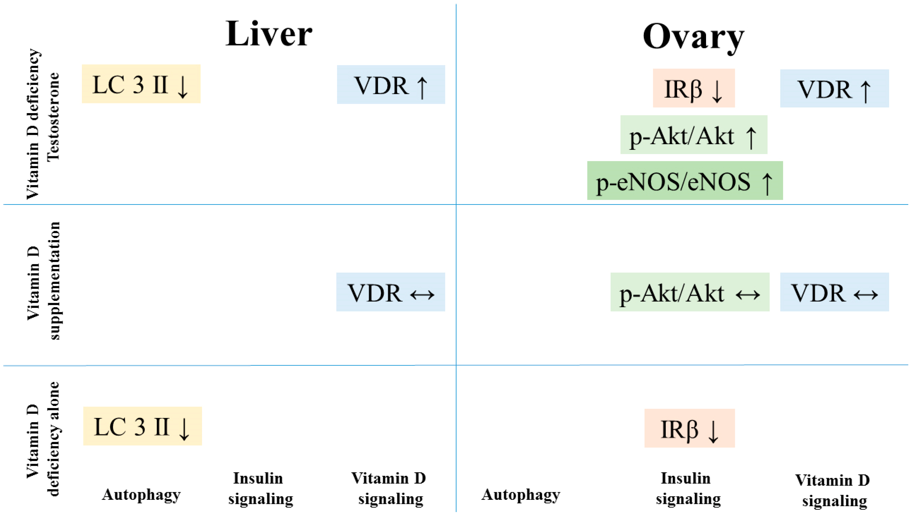 Biomolecules 09 00471 g006