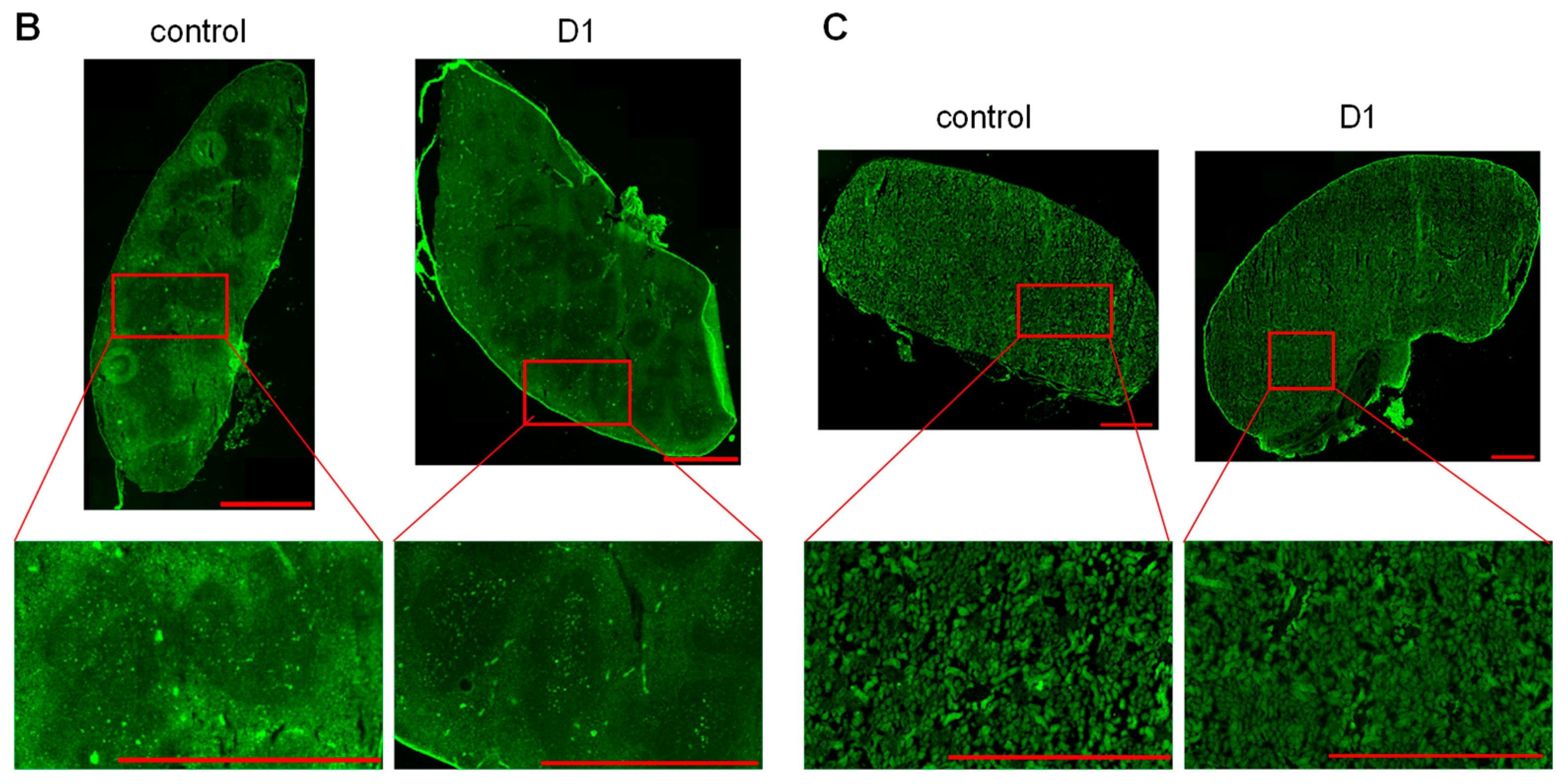 Biomolecules 09 00475 g002b Biomolecules 09 00475 g002b
