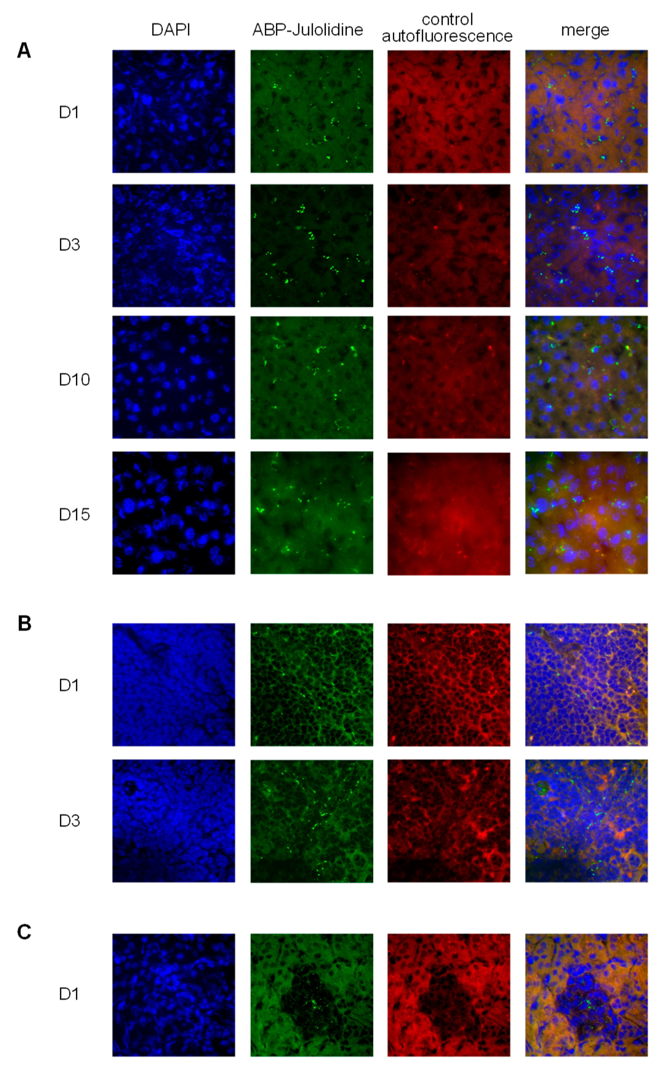Biomolecules 09 00475 g003 Biomolecules 09 00475 g003