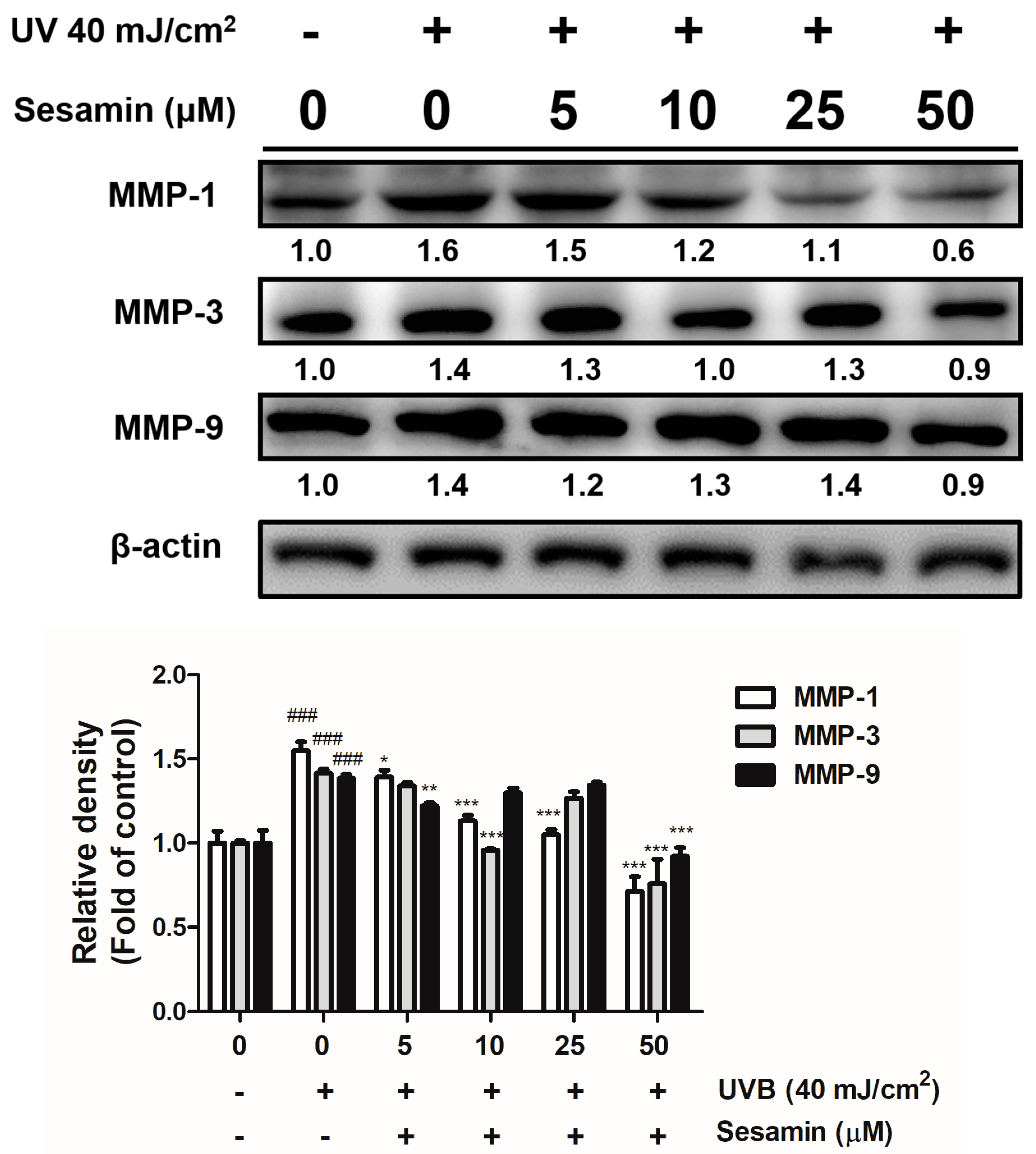 Biomolecules 09 00479 g003
