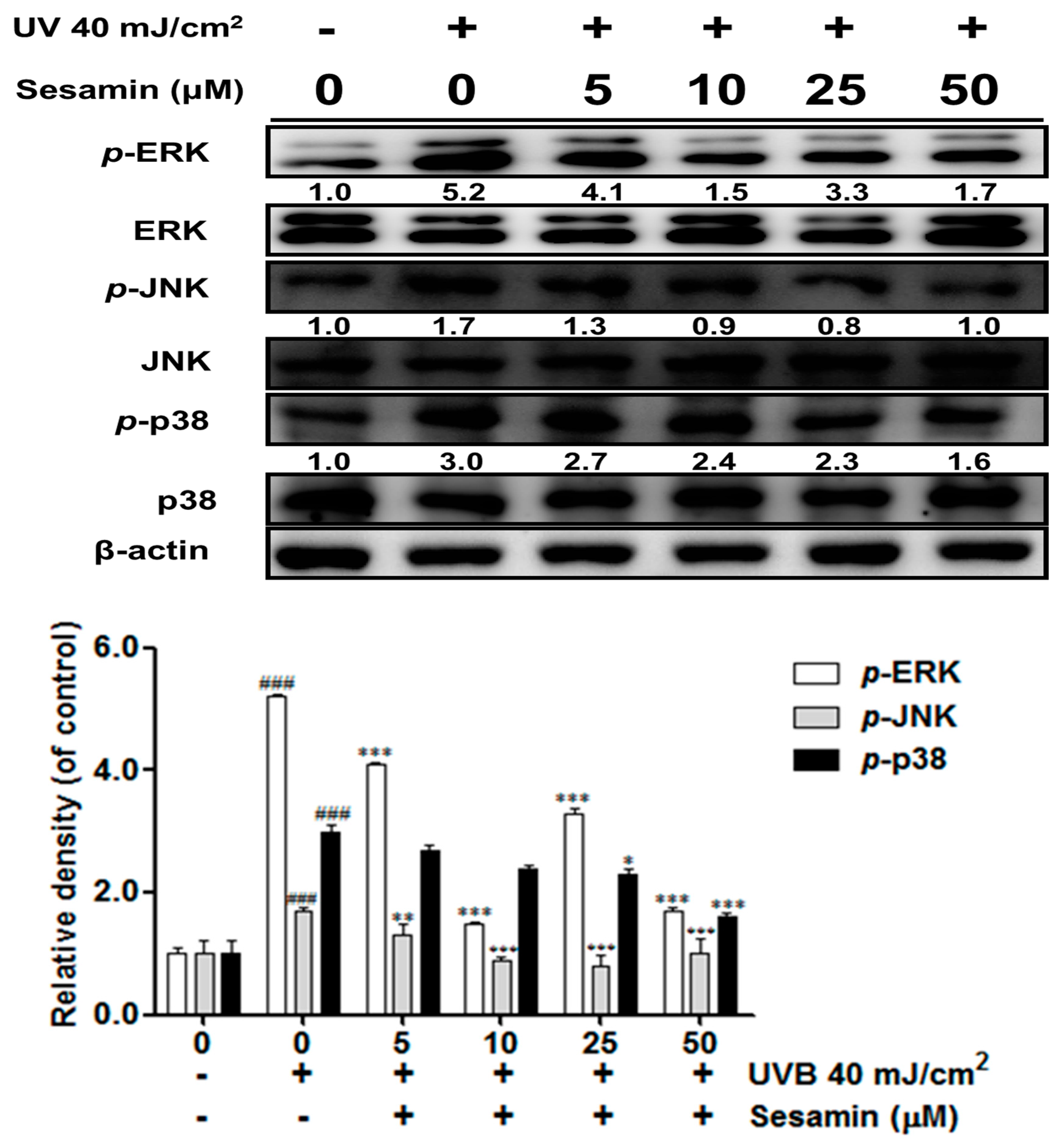 Biomolecules 09 00479 g006