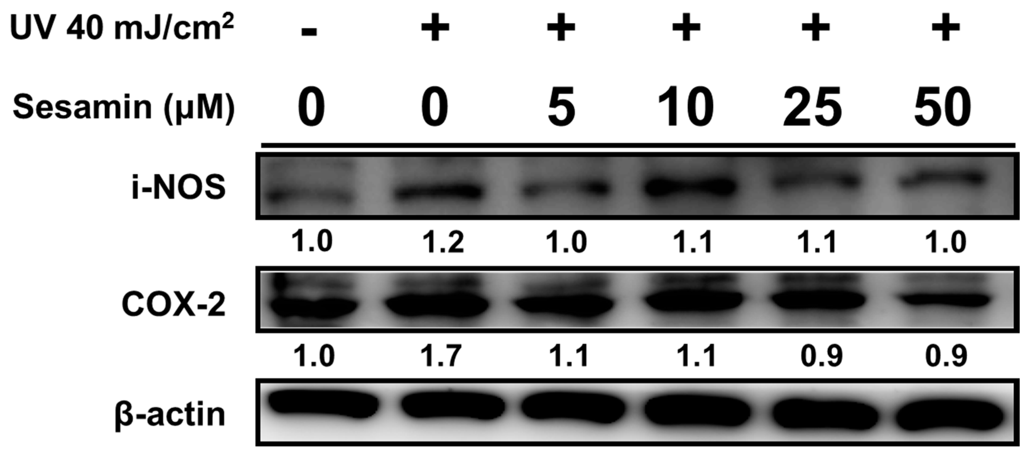 Biomolecules 09 00479 g009a