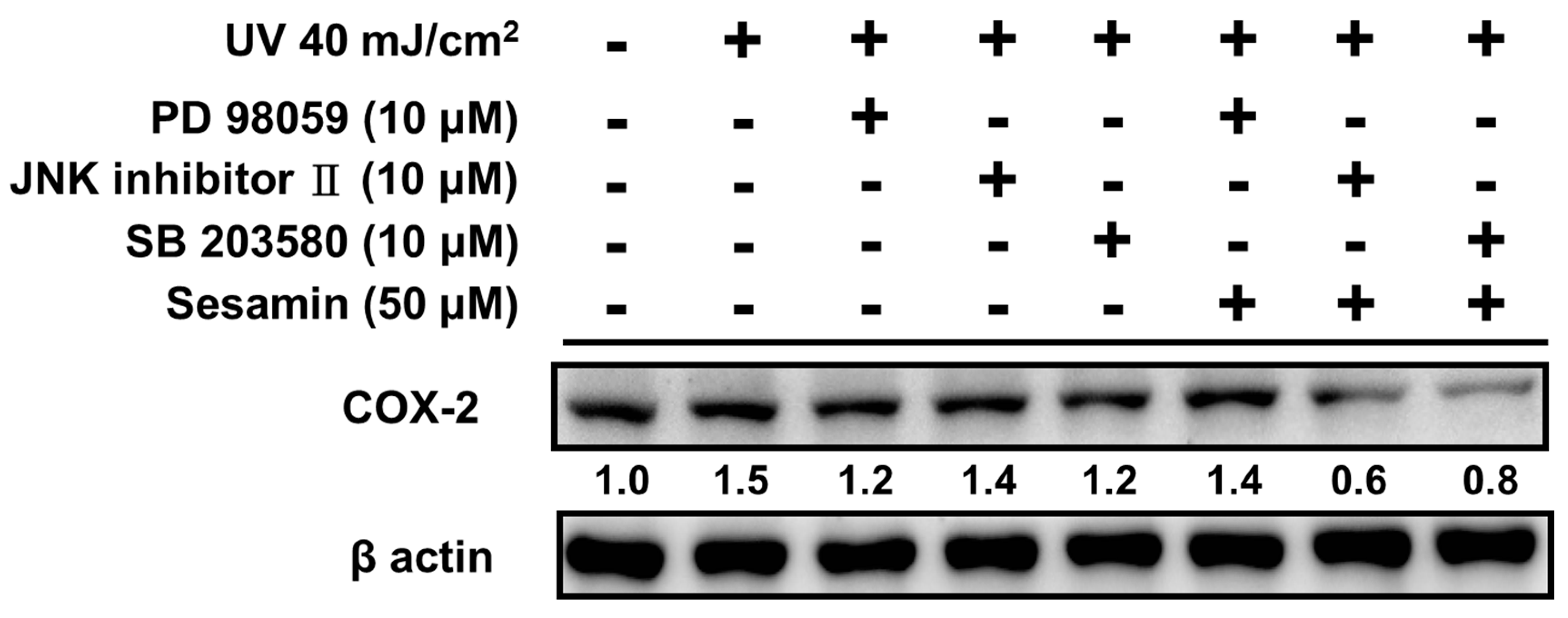 Biomolecules 09 00479 g010a