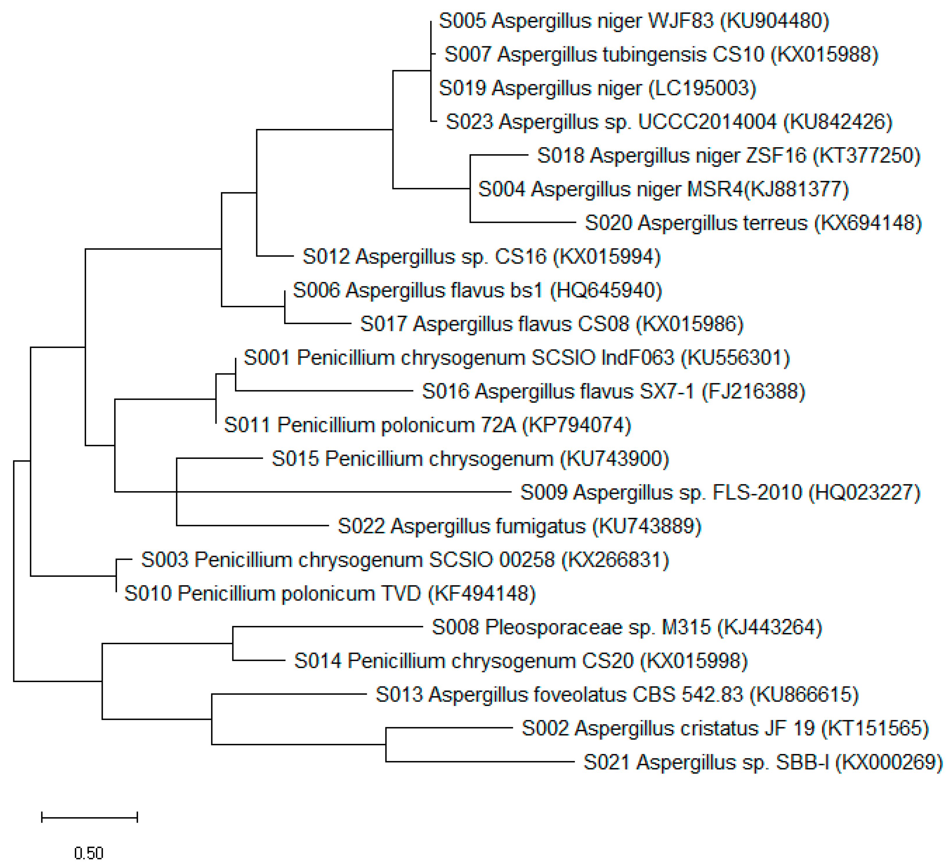 Biomolecules 09 00480 g002 Biomolecules 09 00480 g002