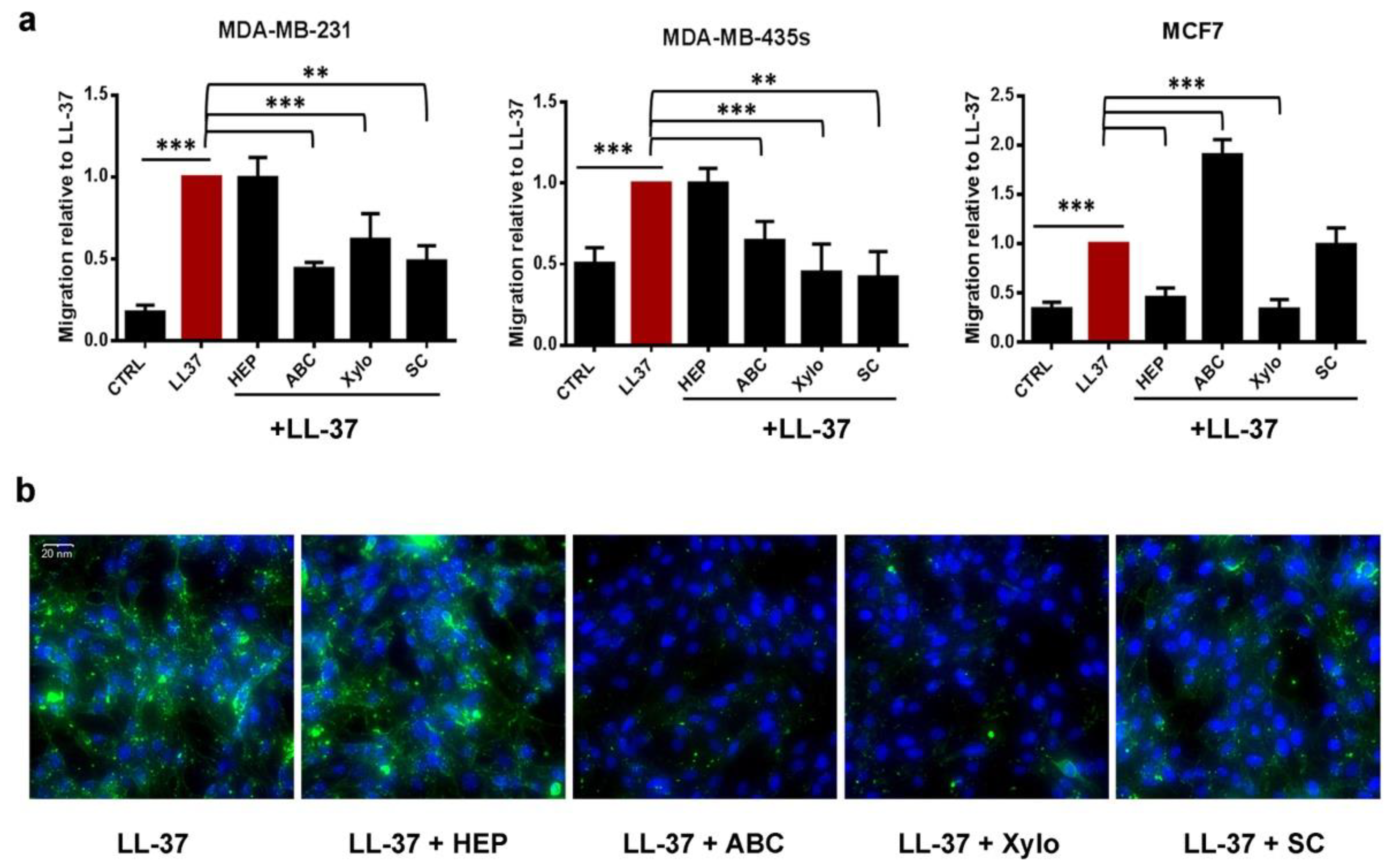 Biomolecules 09 00481 g003