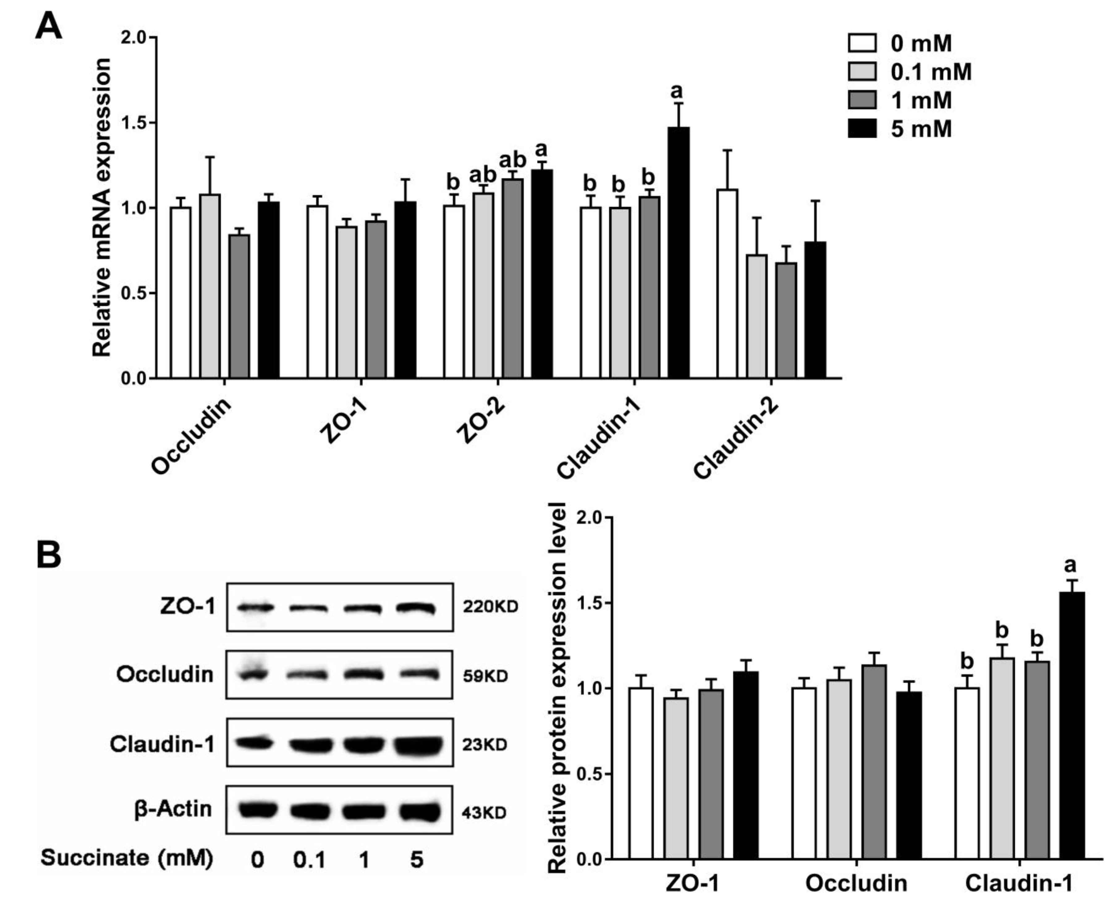 Biomolecules 09 00486 g004