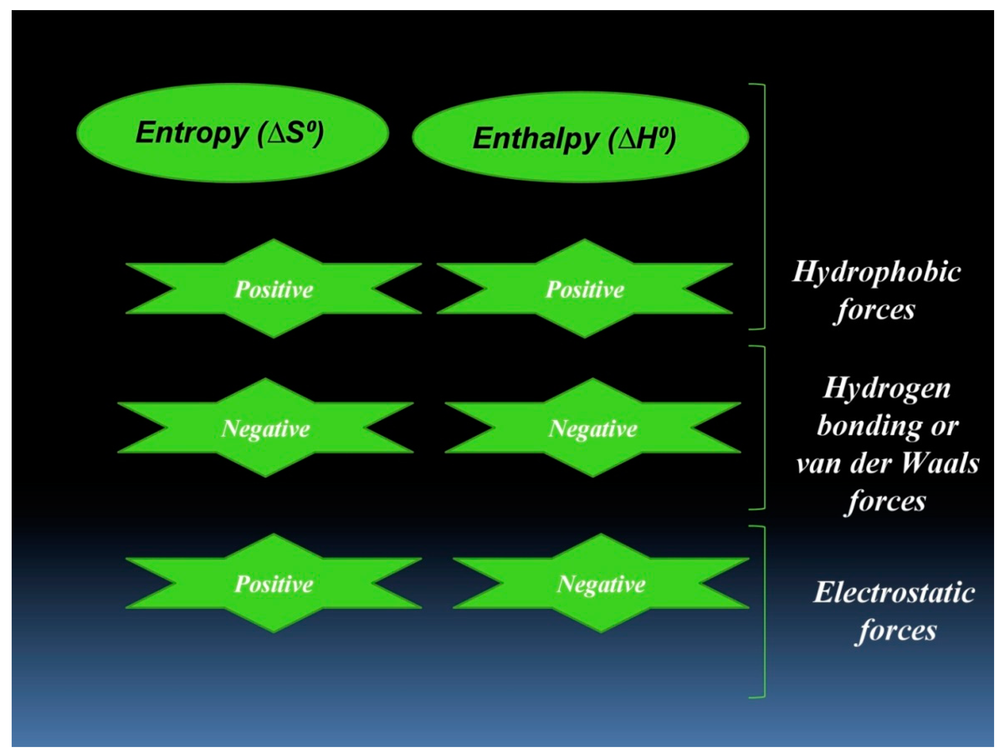 Biomolecules 09 00495 g004