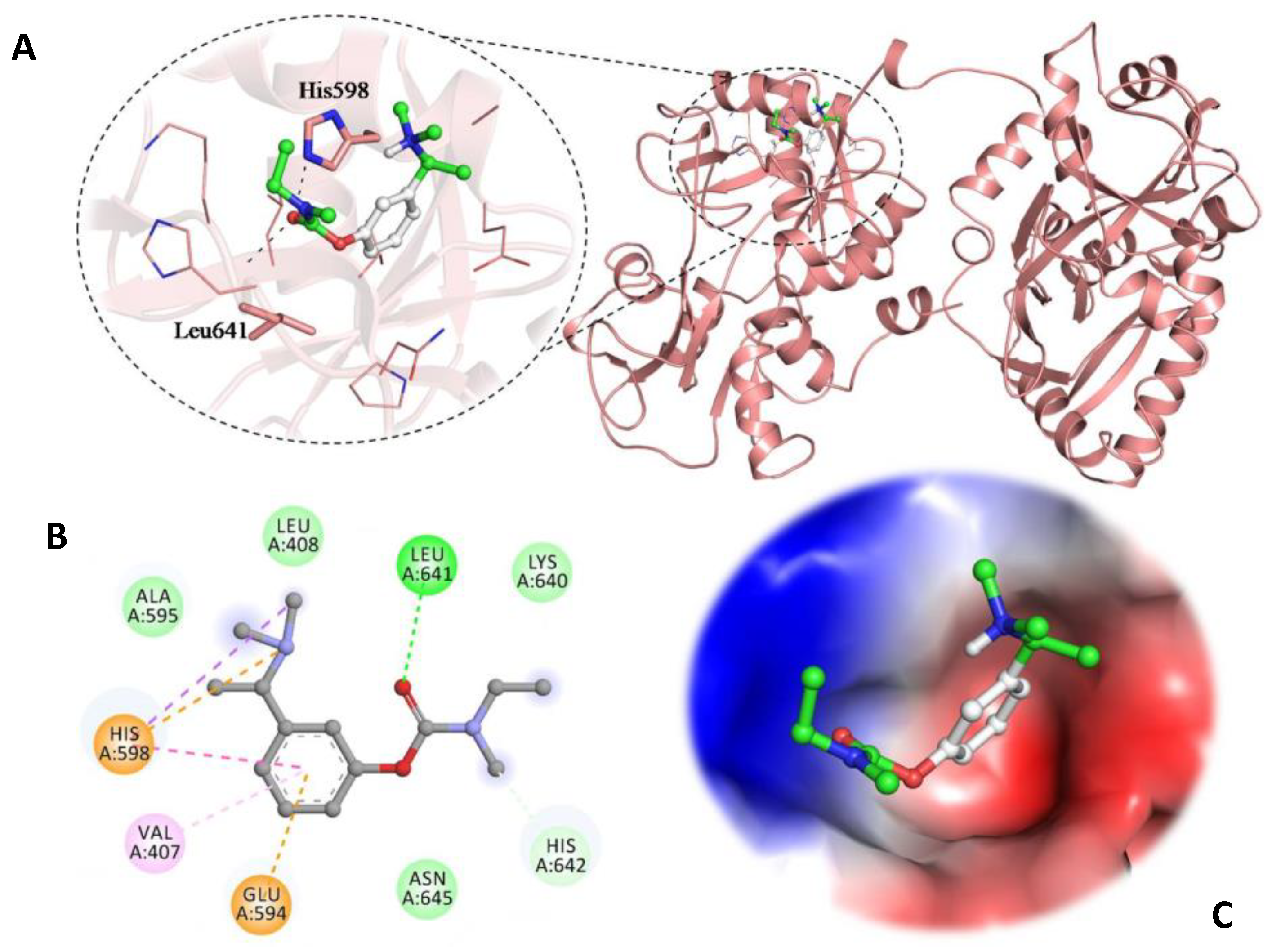 Biomolecules 09 00495 g007
