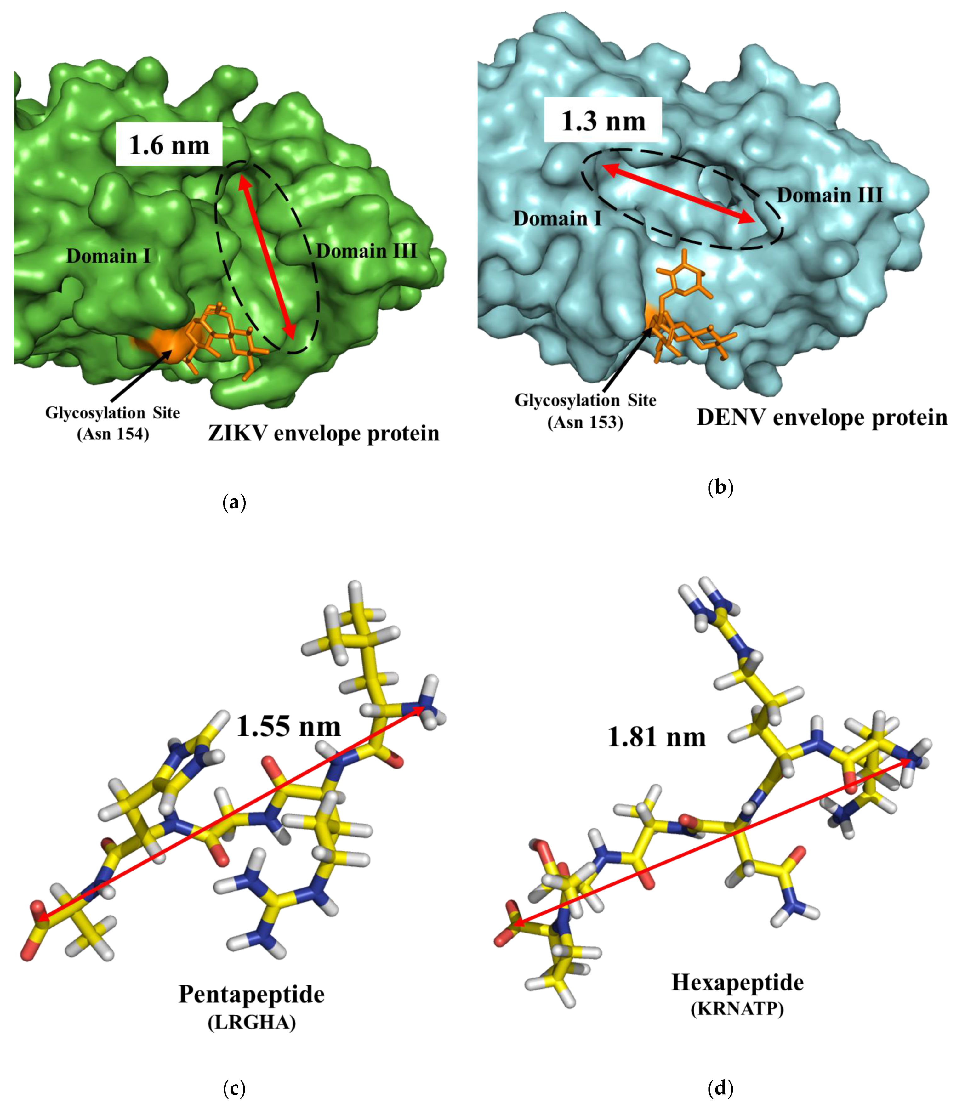 Biomolecules 09 00498 g004