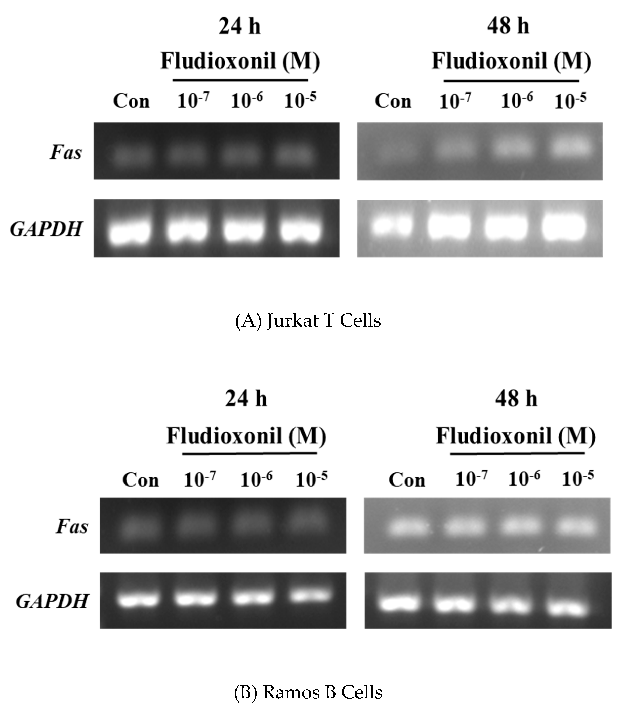 Biomolecules 09 00500 g007