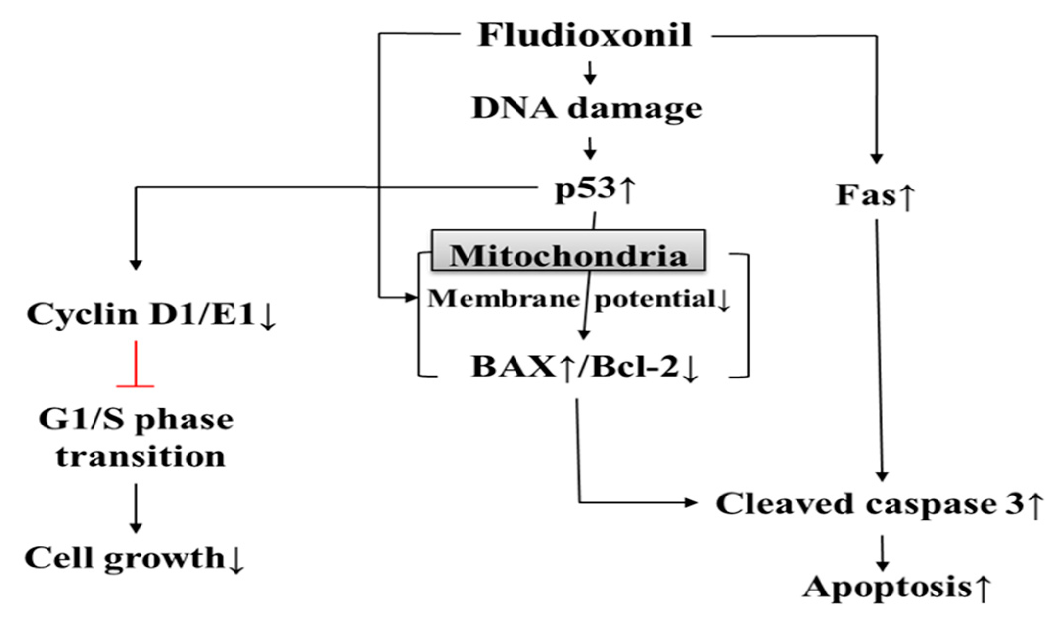 Biomolecules 09 00500 g008