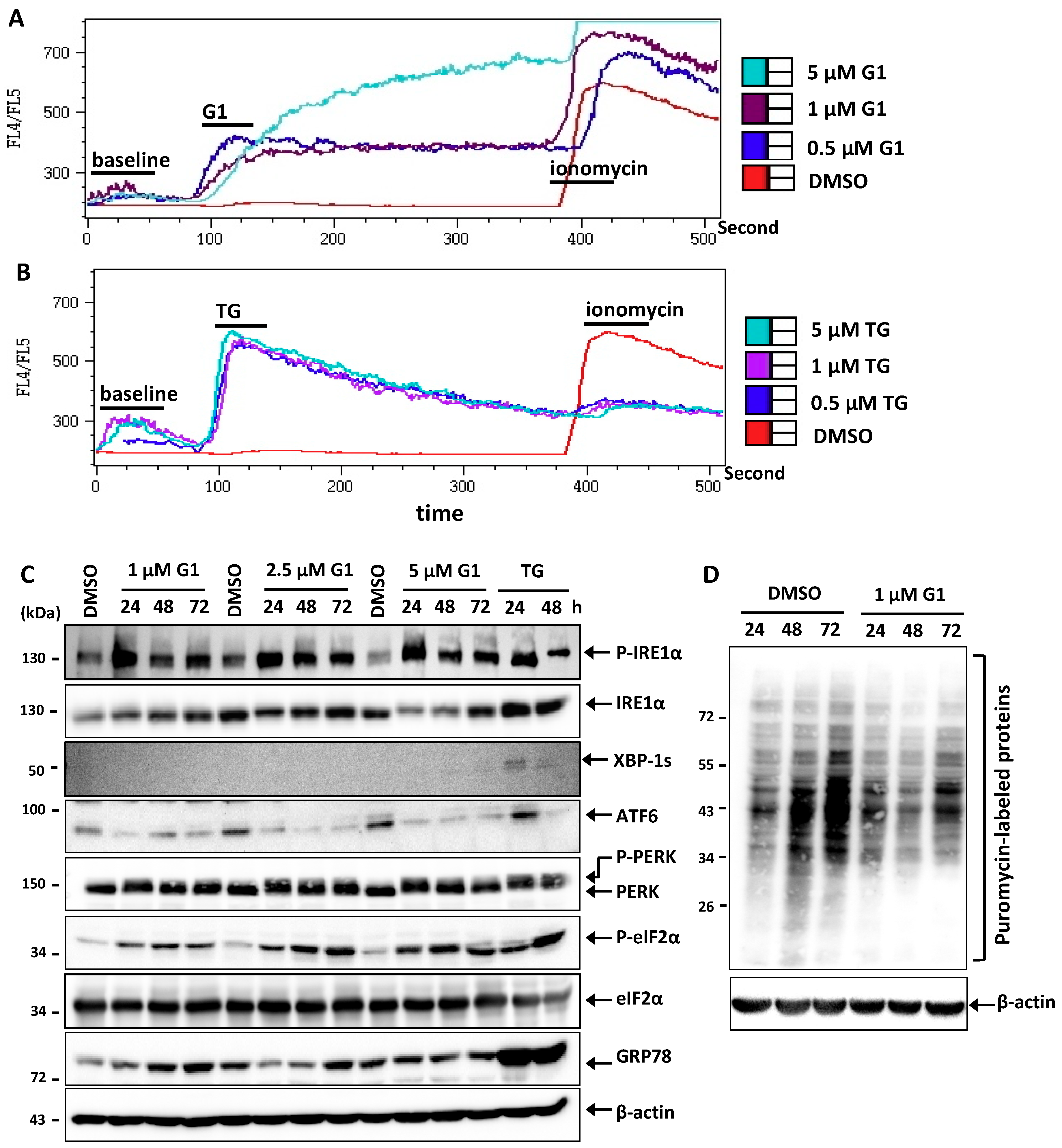 Biomolecules 09 00503 g002