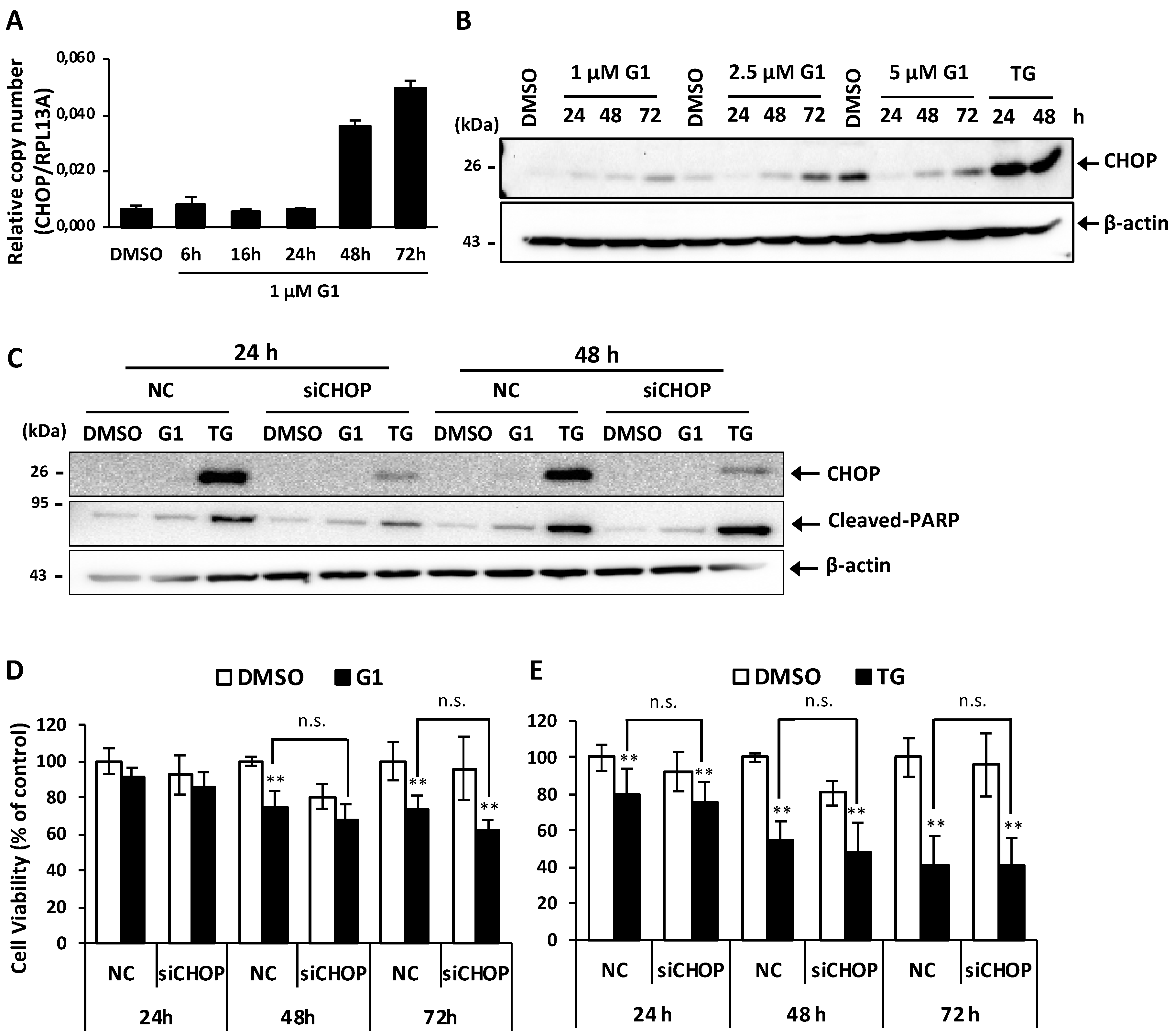 Biomolecules 09 00503 g003