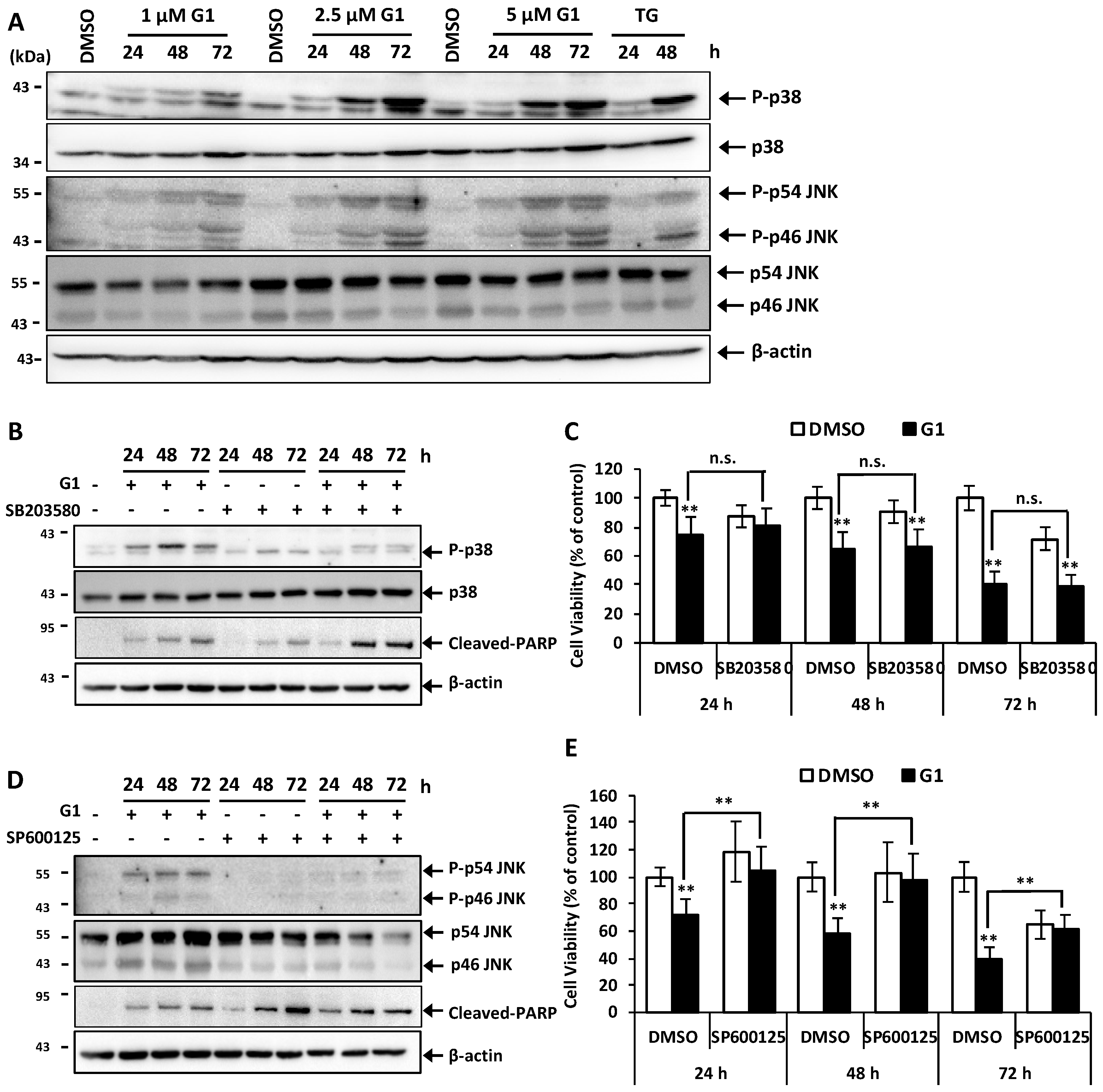 Biomolecules 09 00503 g004