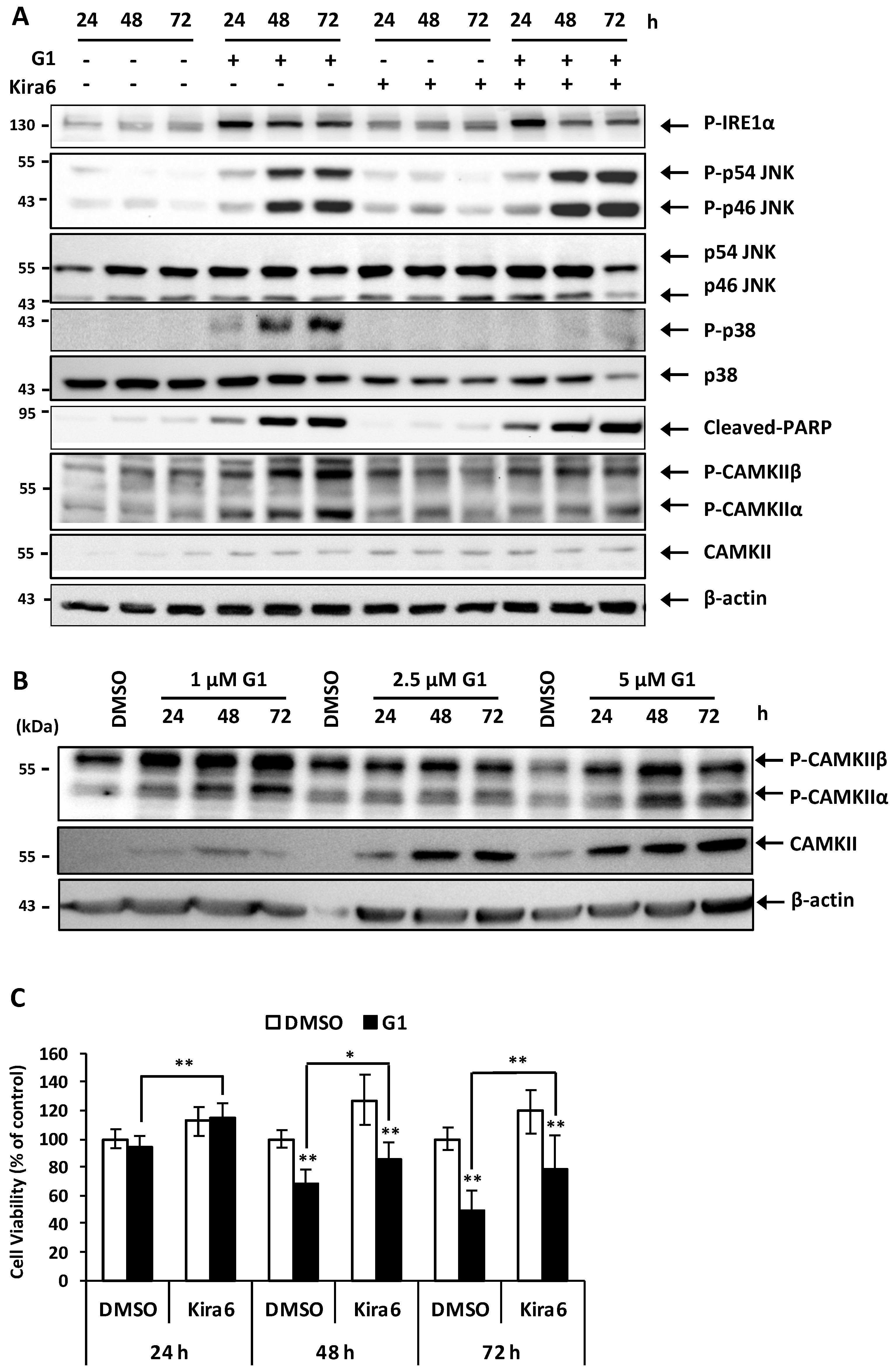 Biomolecules 09 00503 g006