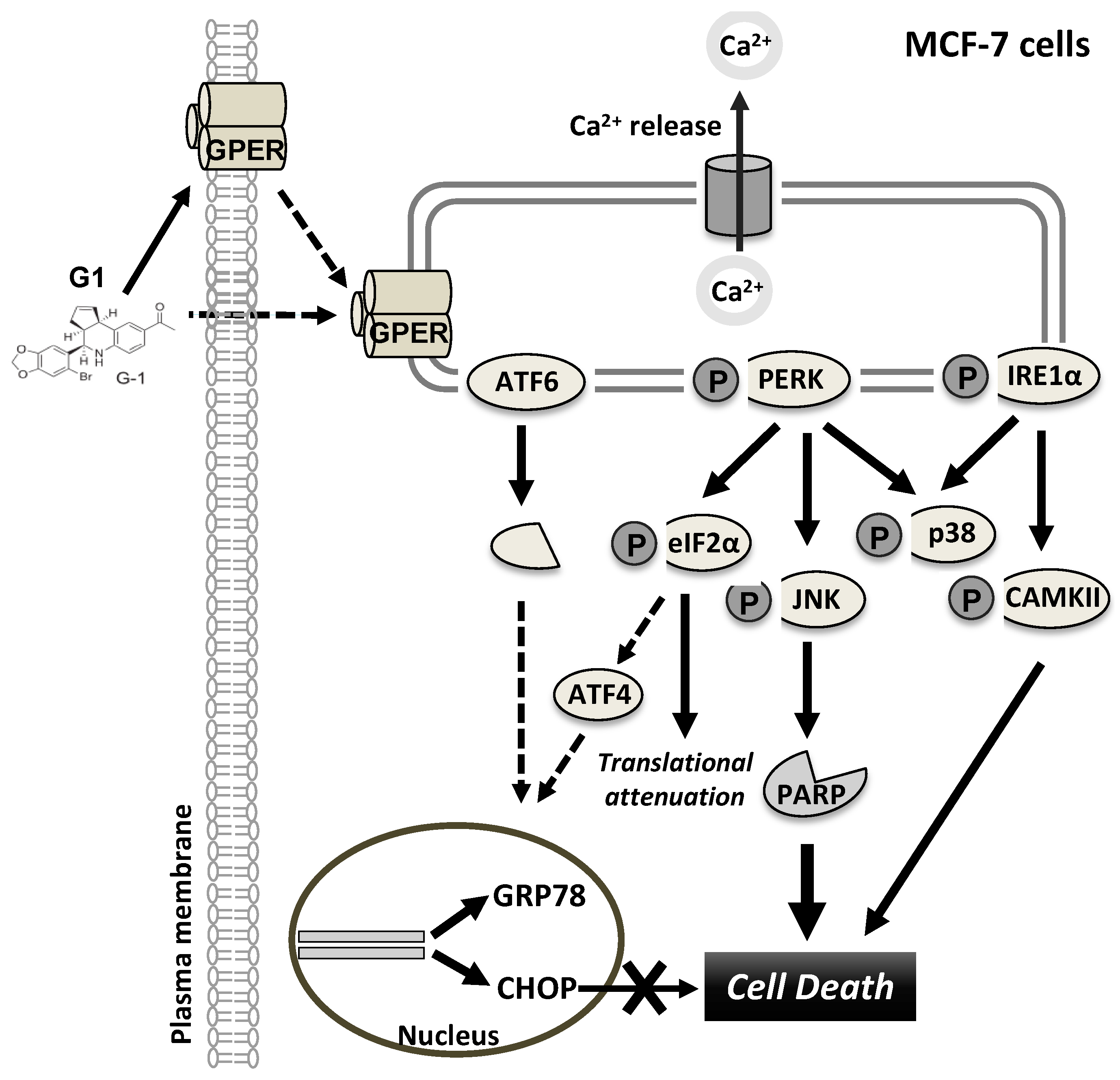 Biomolecules 09 00503 g007