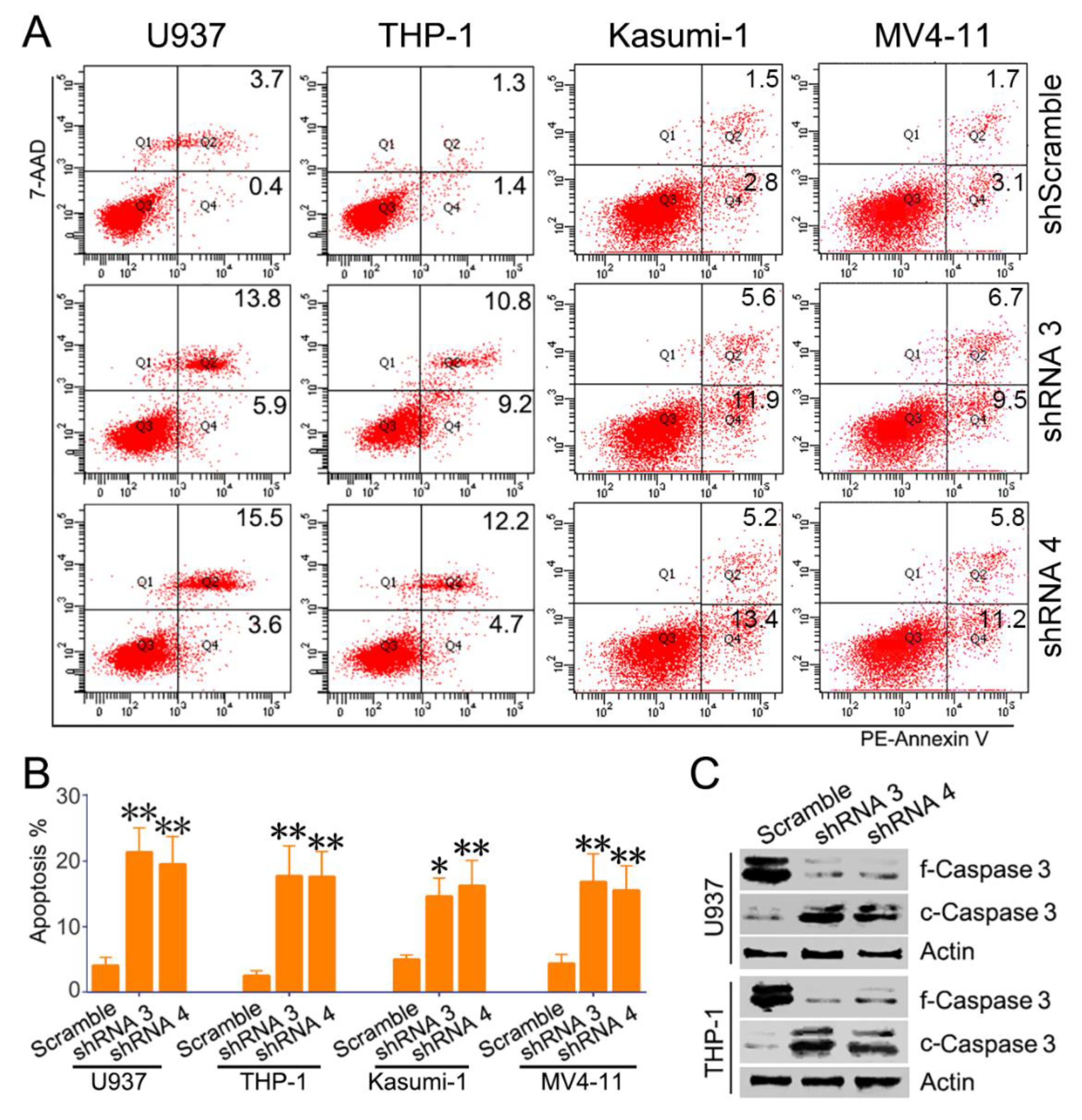 Biomolecules 09 00505 g005