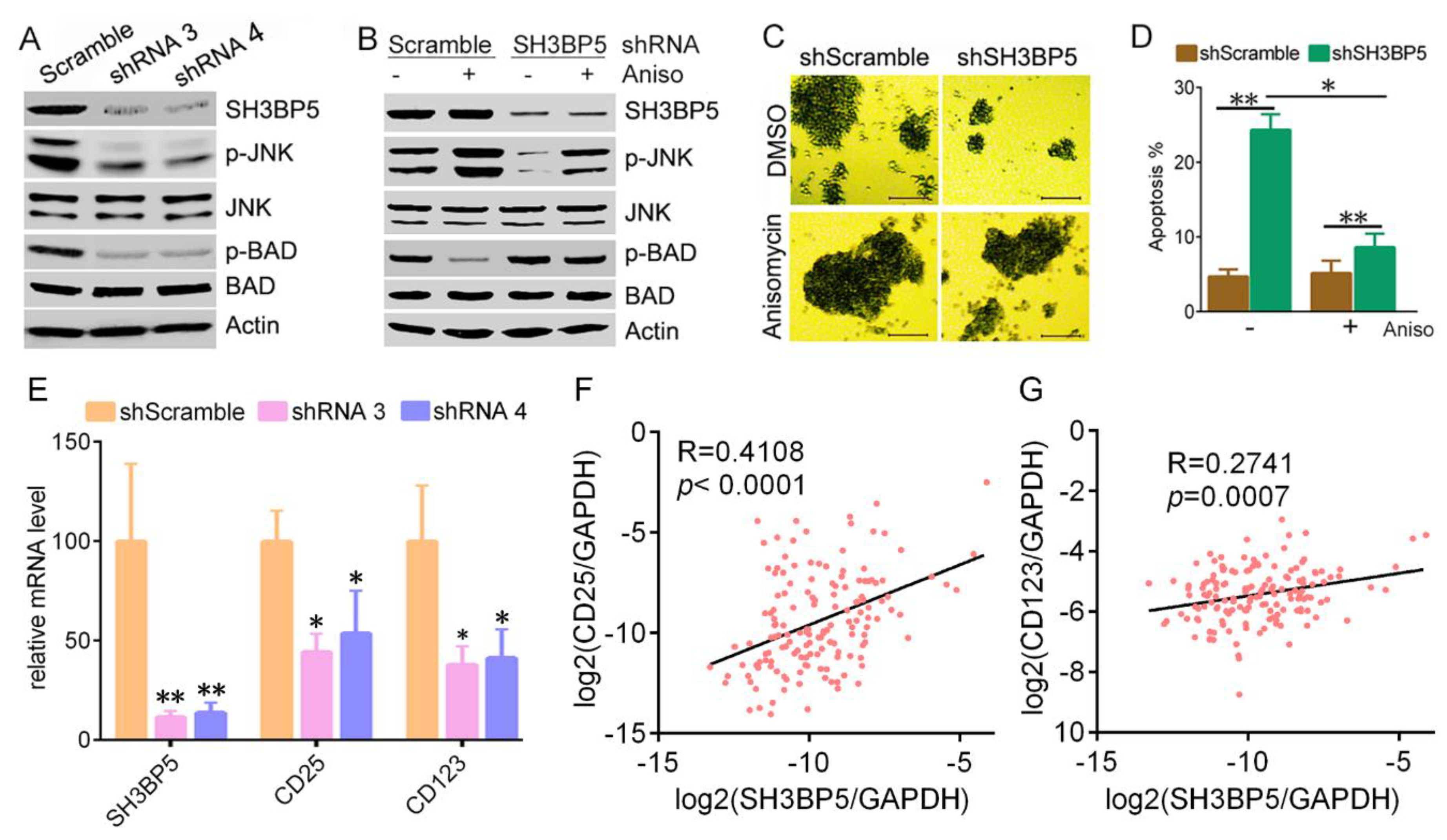Biomolecules 09 00505 g006