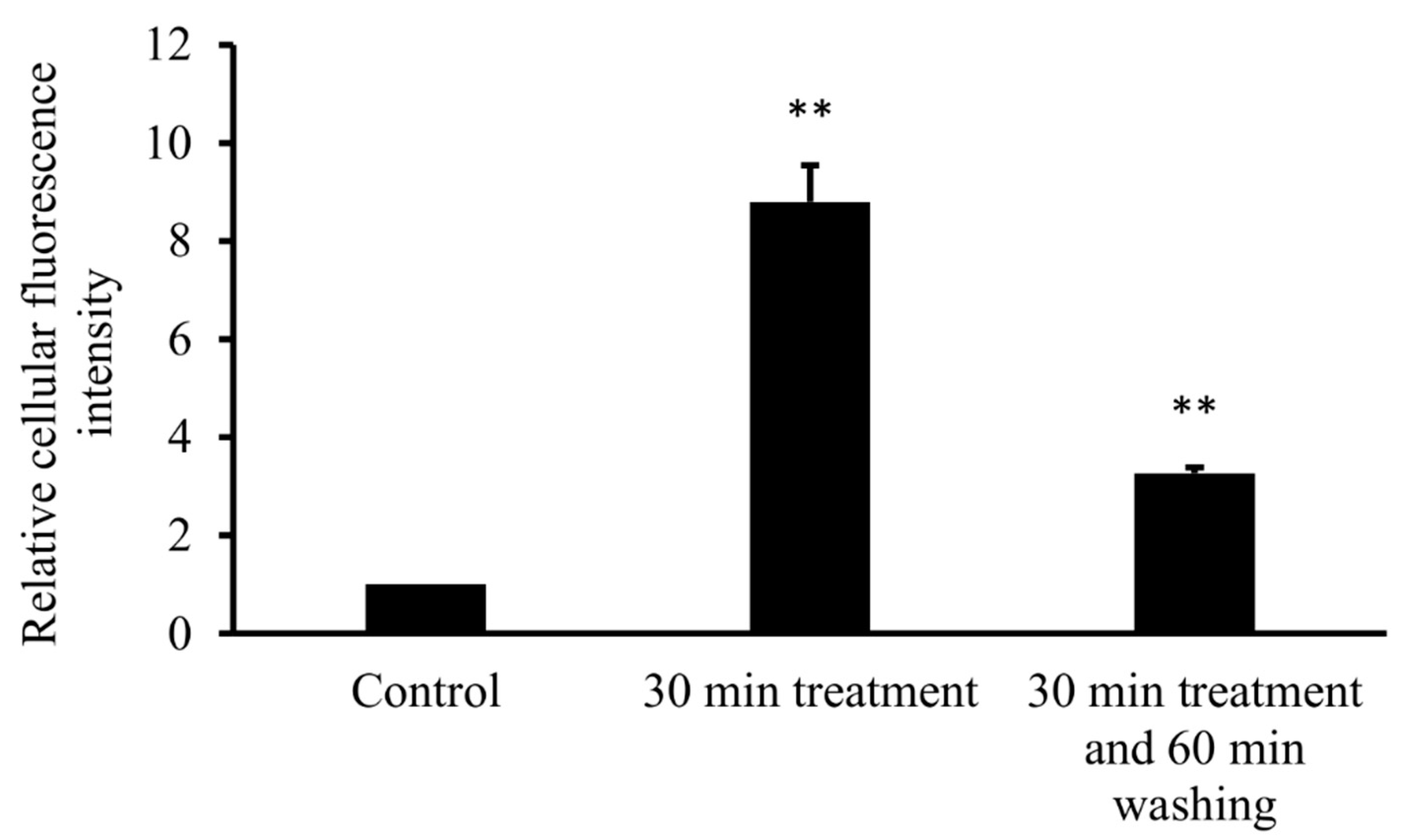 Biomolecules 09 00509 g006 Biomolecules 09 00509 g006