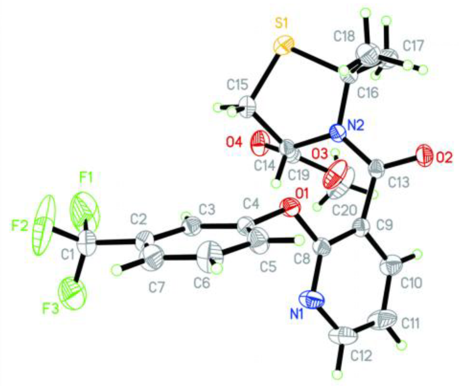 Biomolecules 09 00514 g002 Biomolecules 09 00514 g002