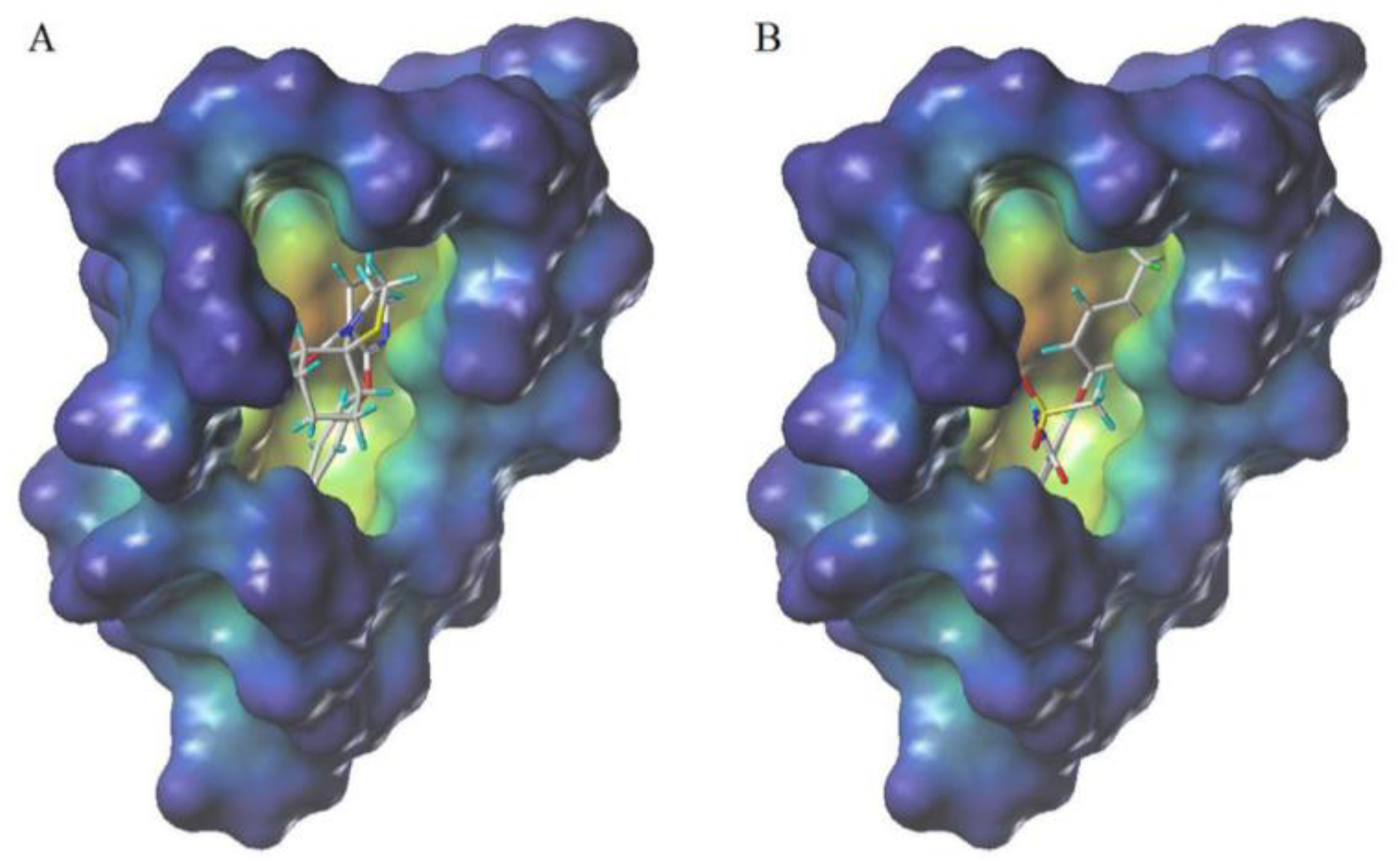 Biomolecules 09 00514 g005 Biomolecules 09 00514 g005