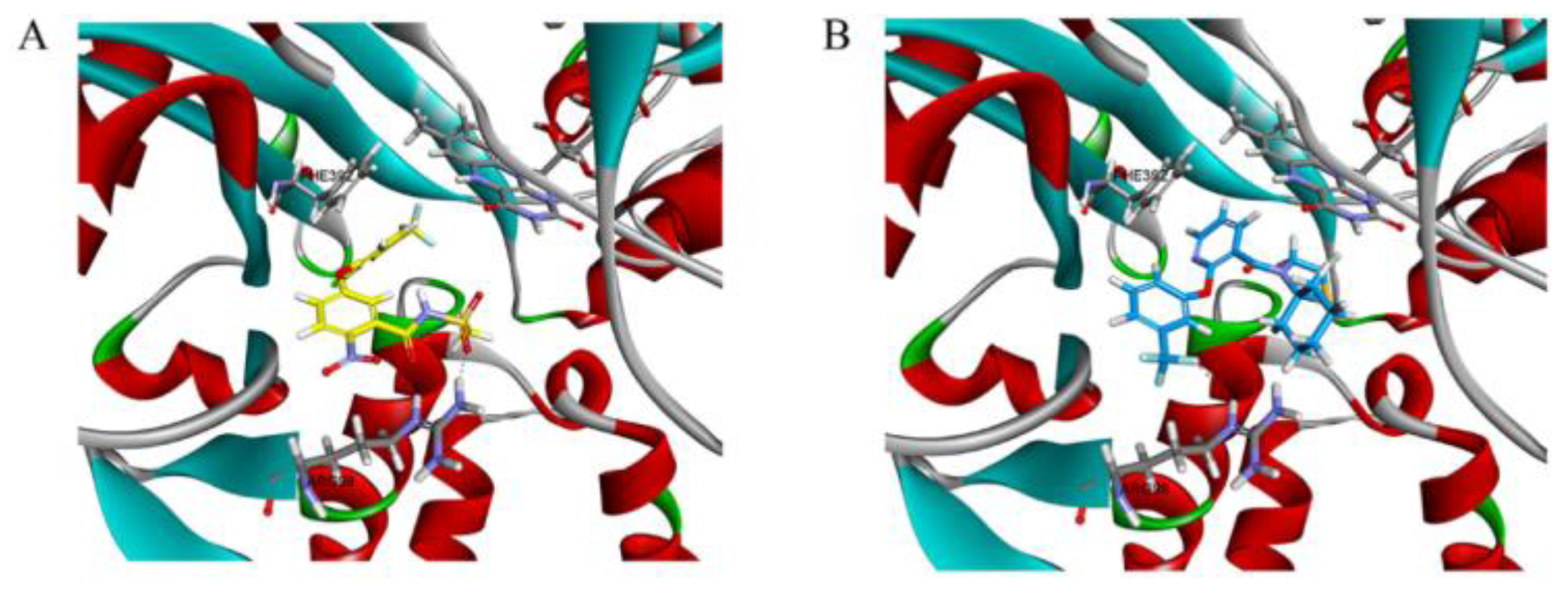 Biomolecules 09 00514 g006 Biomolecules 09 00514 g006