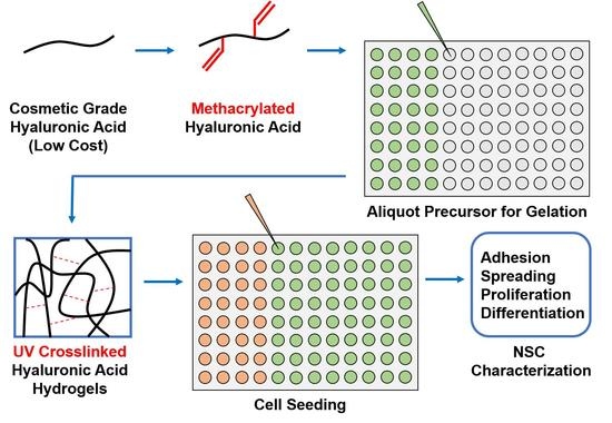 Recent Advances In Hyaluronic Acid Hydrogels For Biomedical Applications Sciencedirect