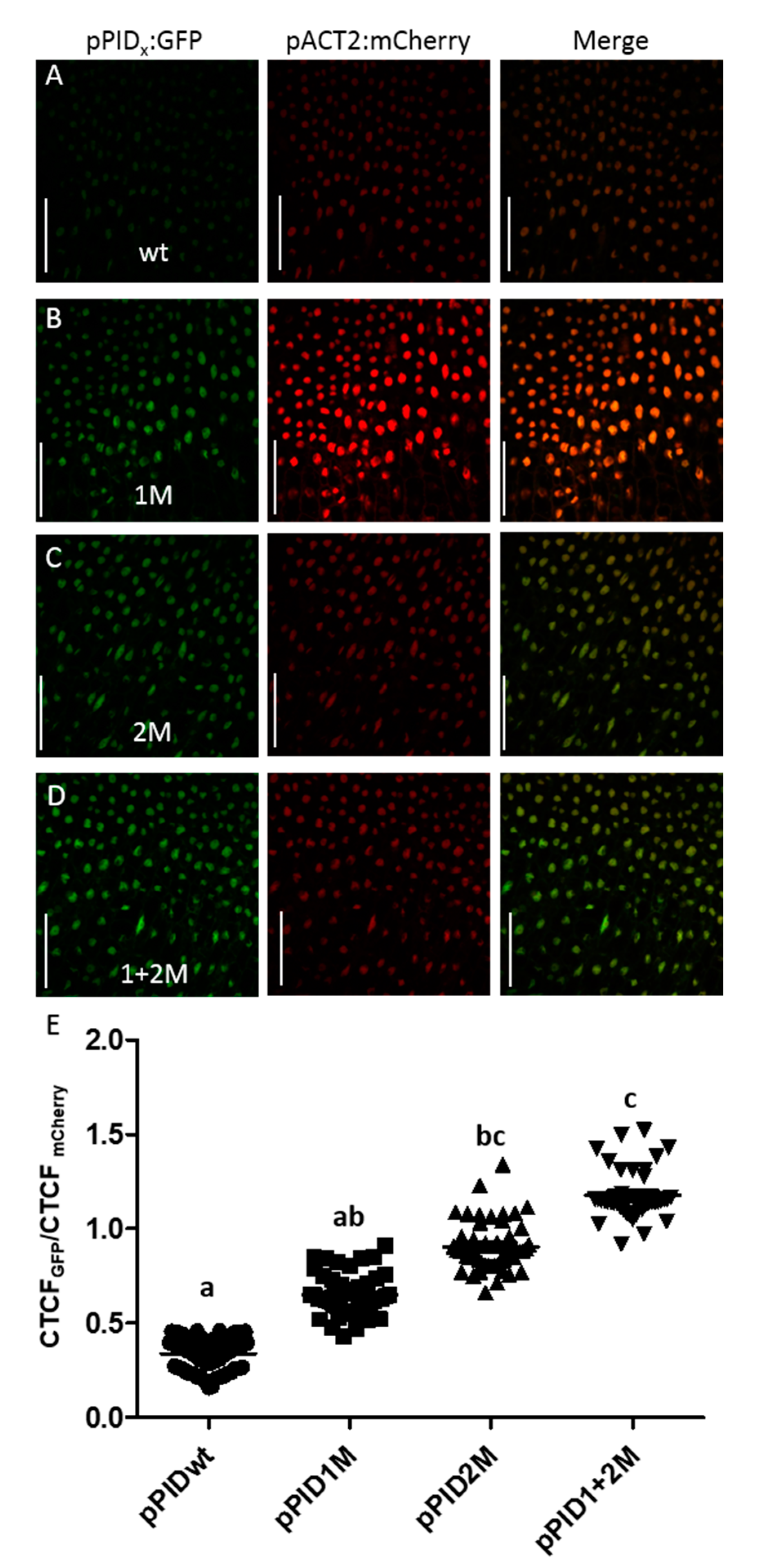 Biomolecules 09 00526 g002 Biomolecules 09 00526 g002