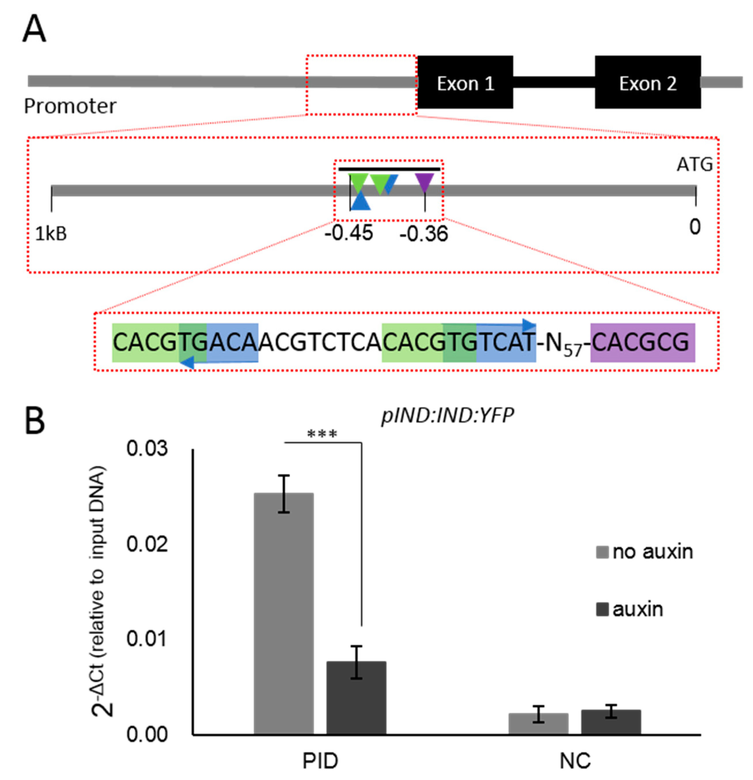 Biomolecules 09 00526 g003 Biomolecules 09 00526 g003